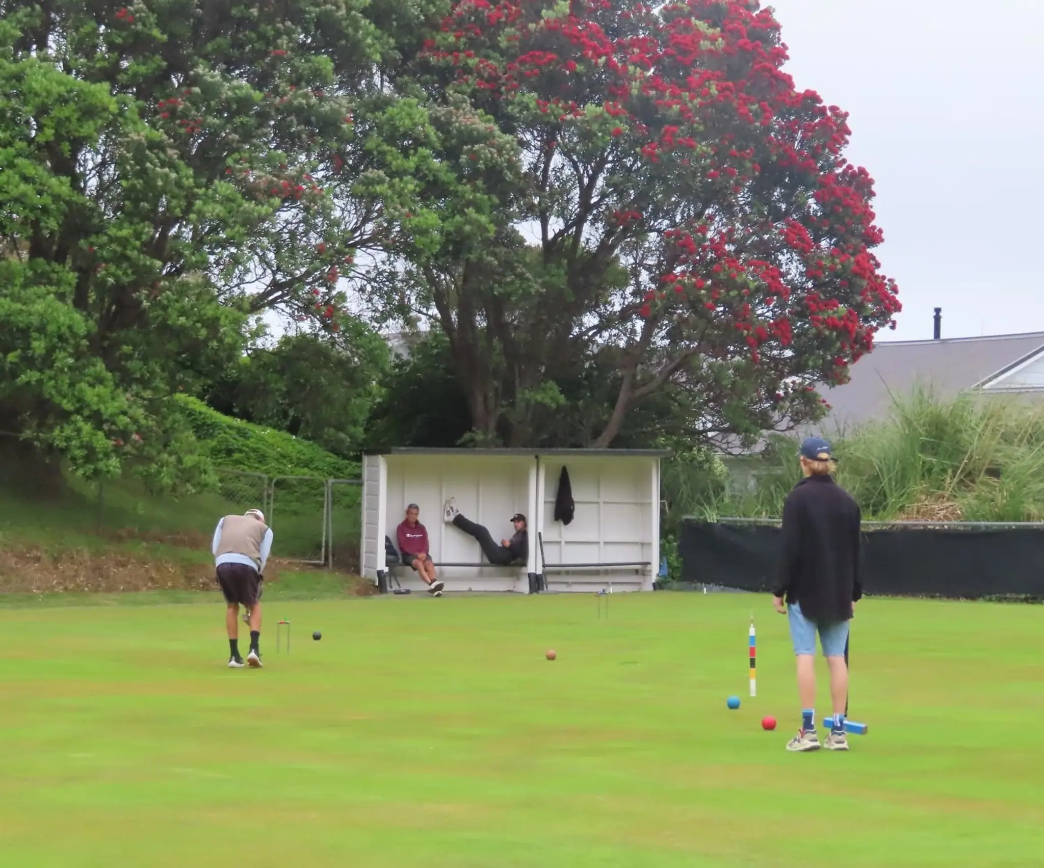 Wellington Croquet Club