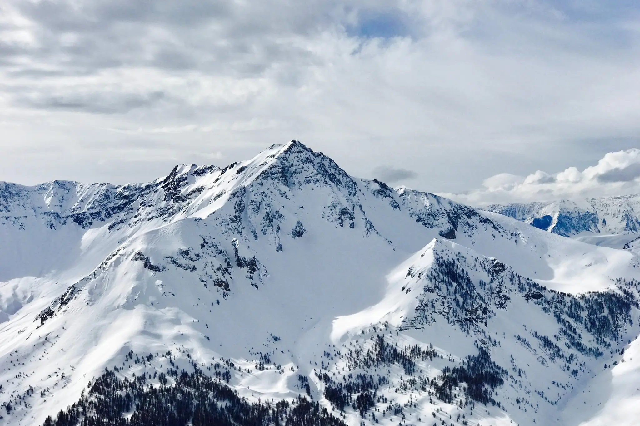 Alpine High Peformance