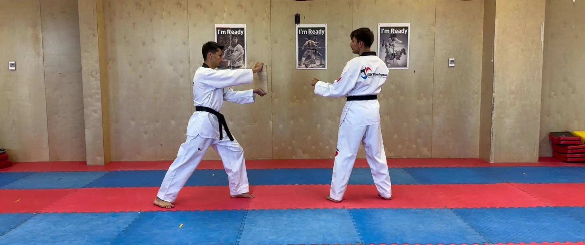 SKY TAEKWONDO | Edmonton l Edmonton North West l Castle Downs