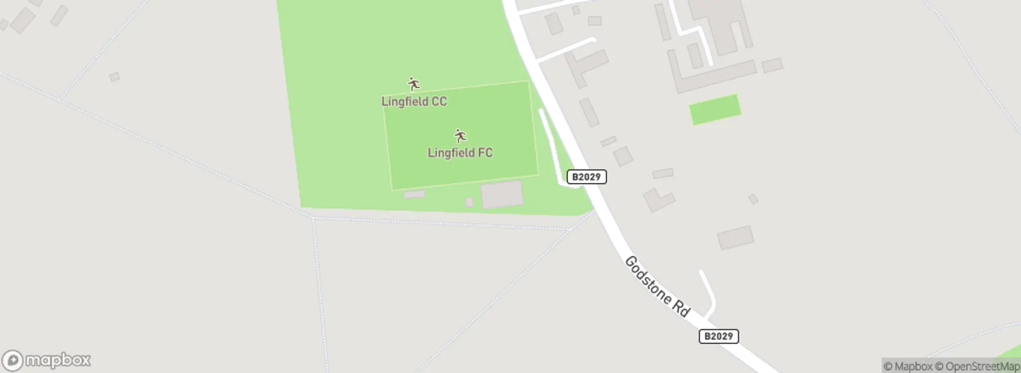 Lingfield Football Club