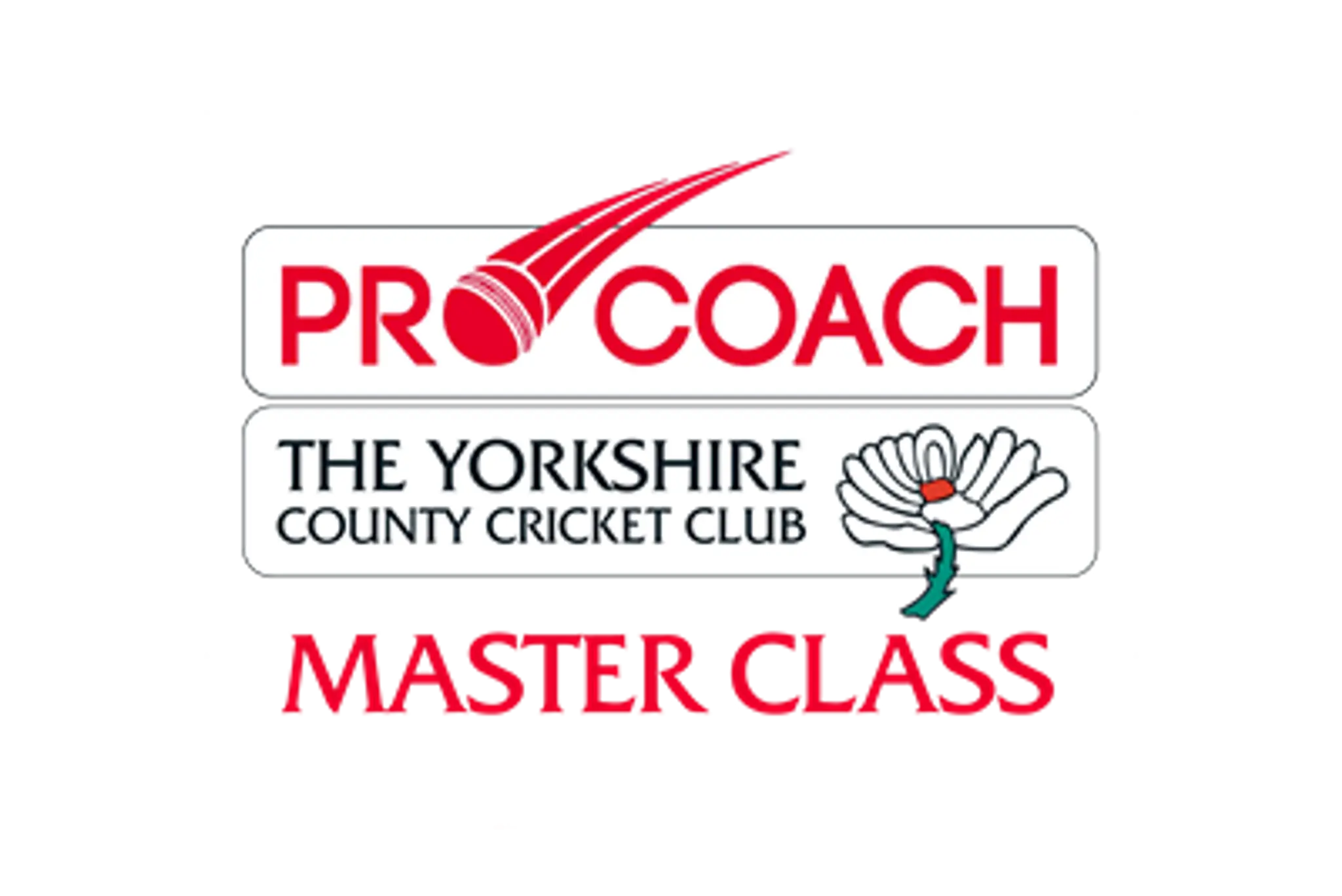 Pro Coach Cricket Academy