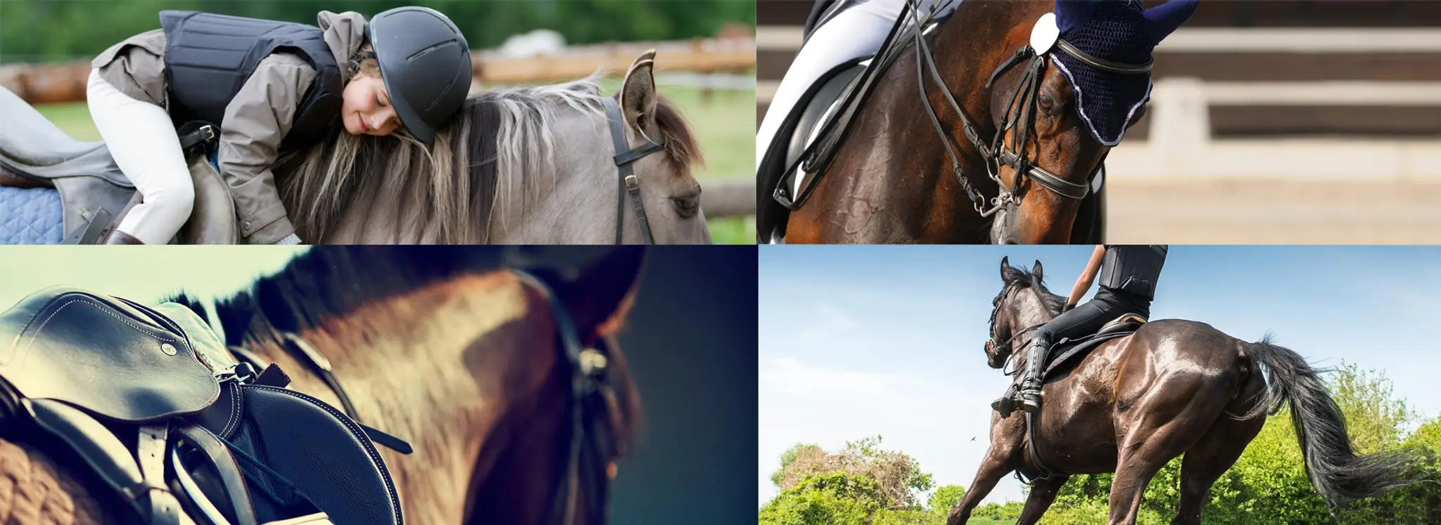 Mill House Riding Centre