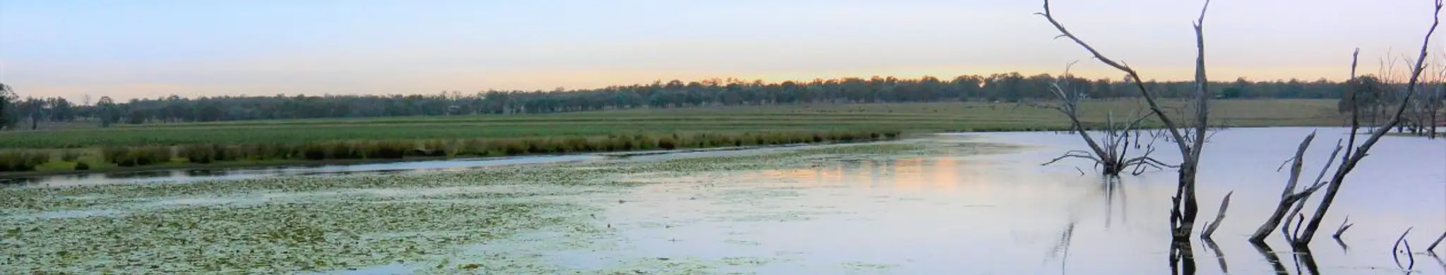 Australian Freshwater Fishing Charters