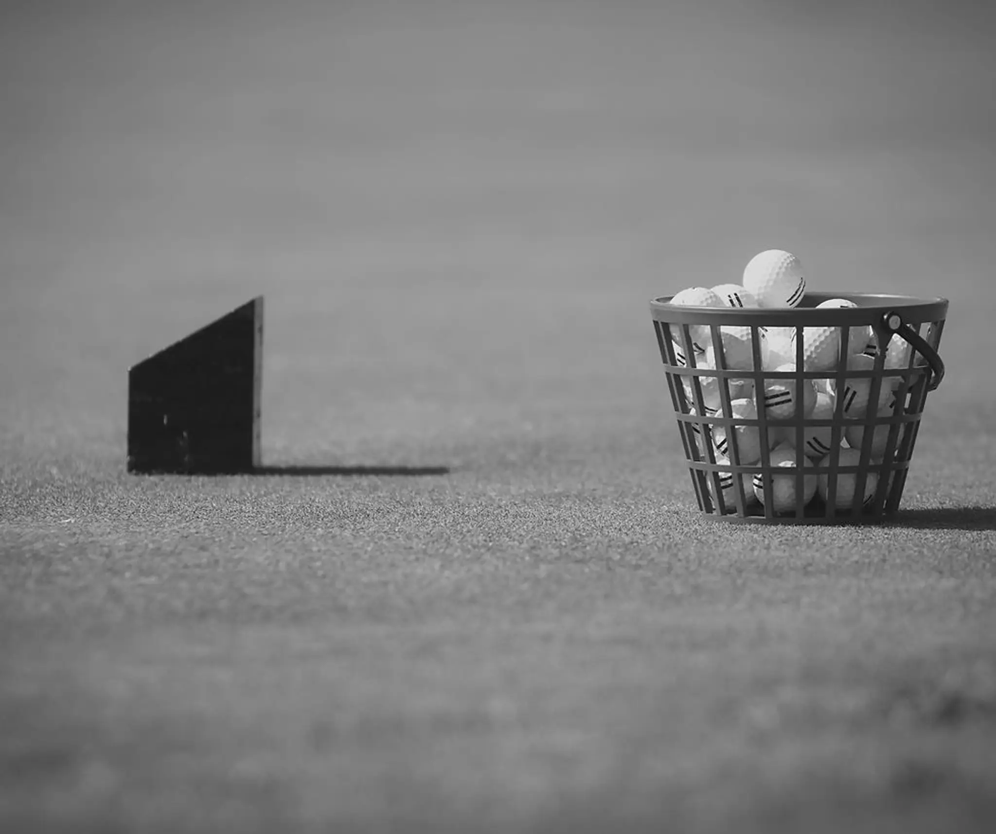 Enzo Avery Golf Lessons & Performance Coaching