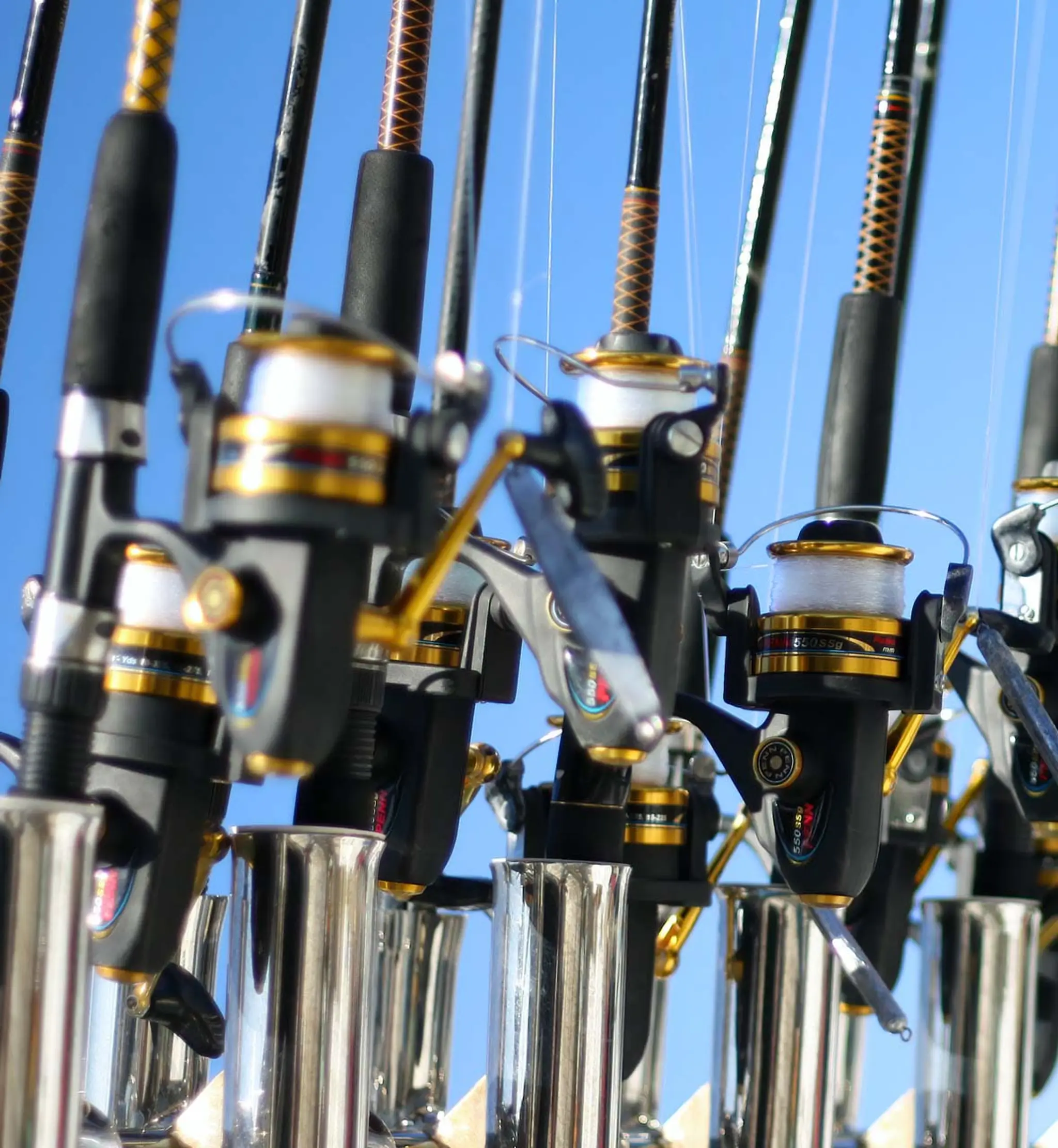 CAPS - Cercle Arcachonnais de Pêche Sportive - pêche Arcachon - Pêche Sportive