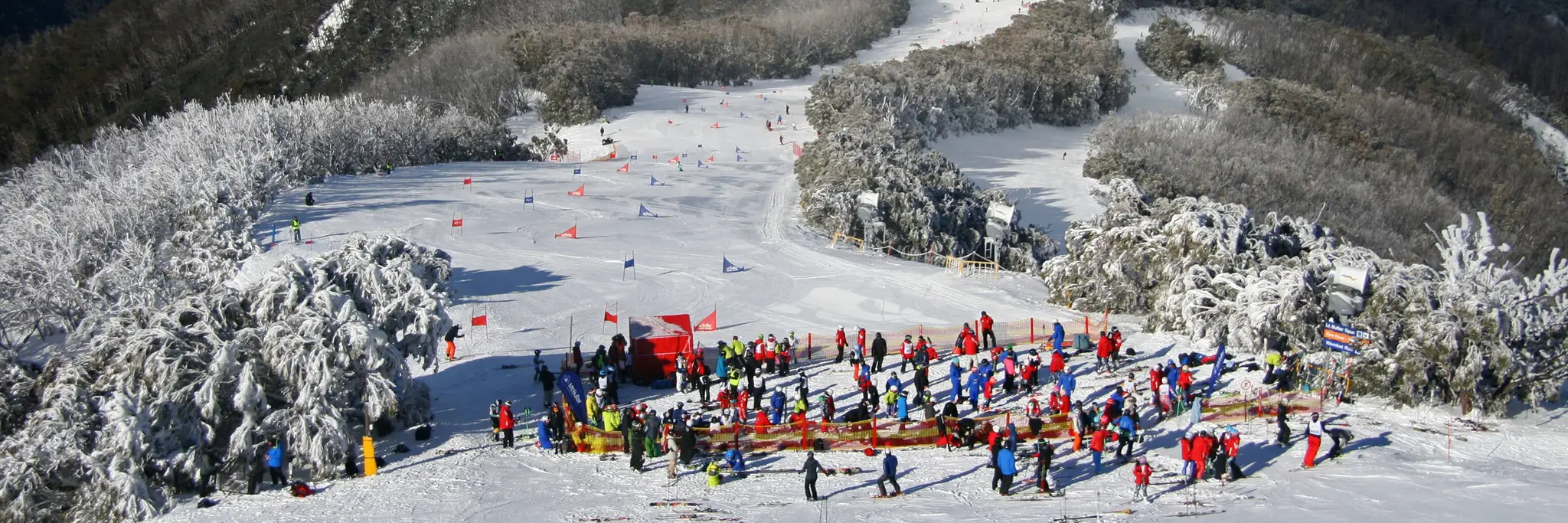 Mt. Buller Race Club