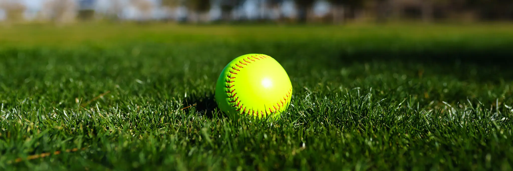 Mounties Softball / T-Ball Club