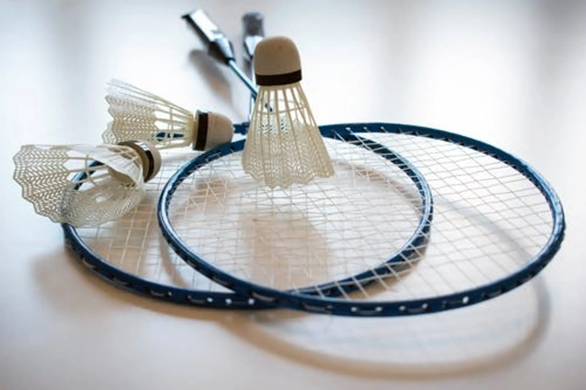 Sandon Badminton Club