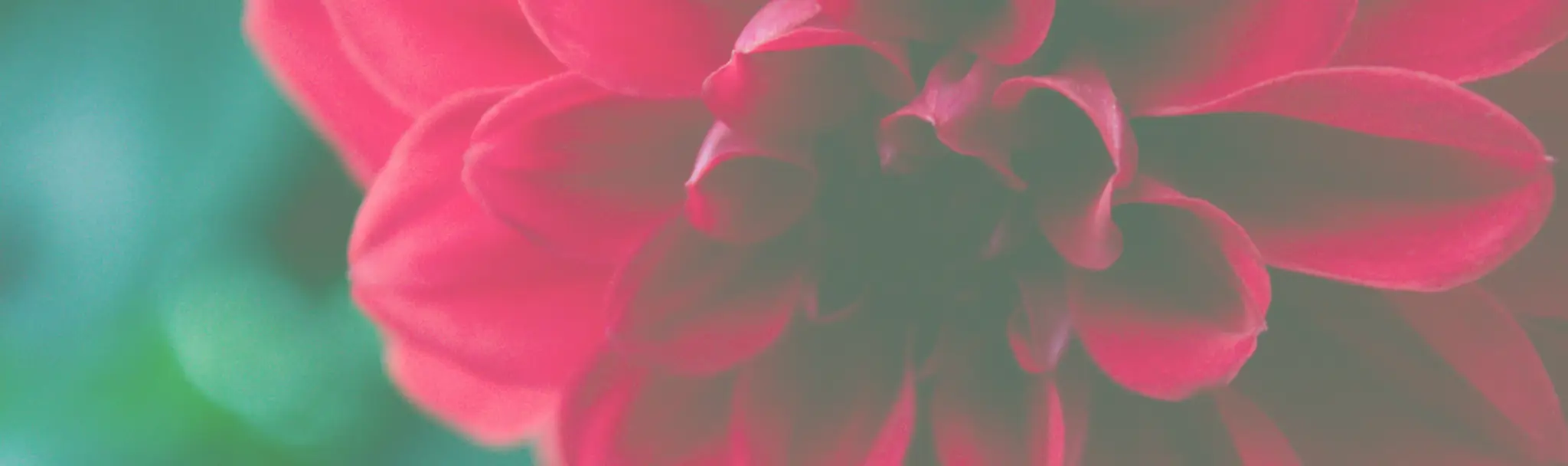 Jackie Pearce Pilates