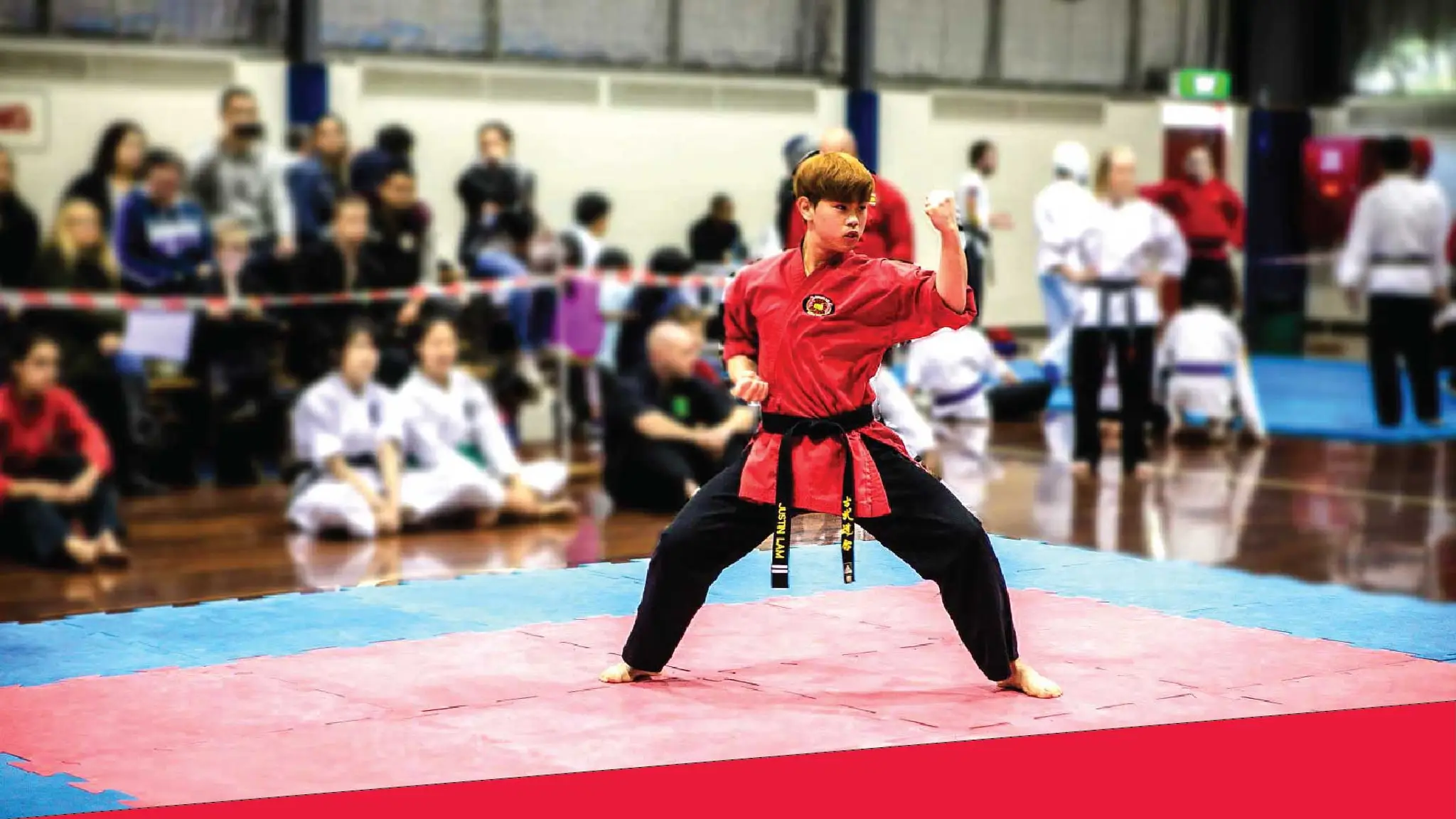 Lion Bushido Karate Academy Forest Hill