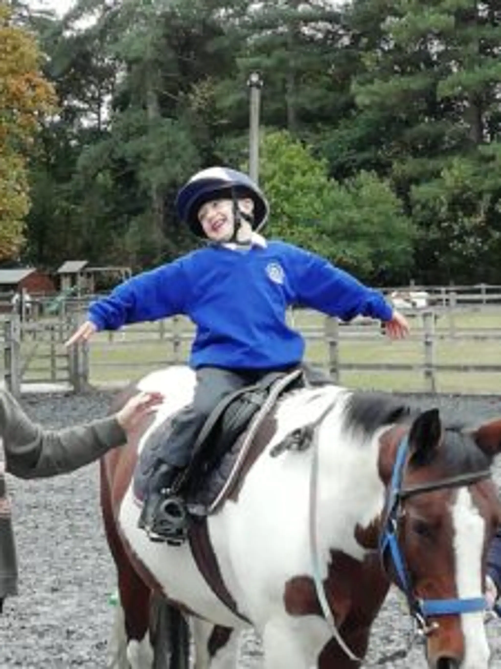 Crown Farm Stables-REACH (RDA-hippotherapy)