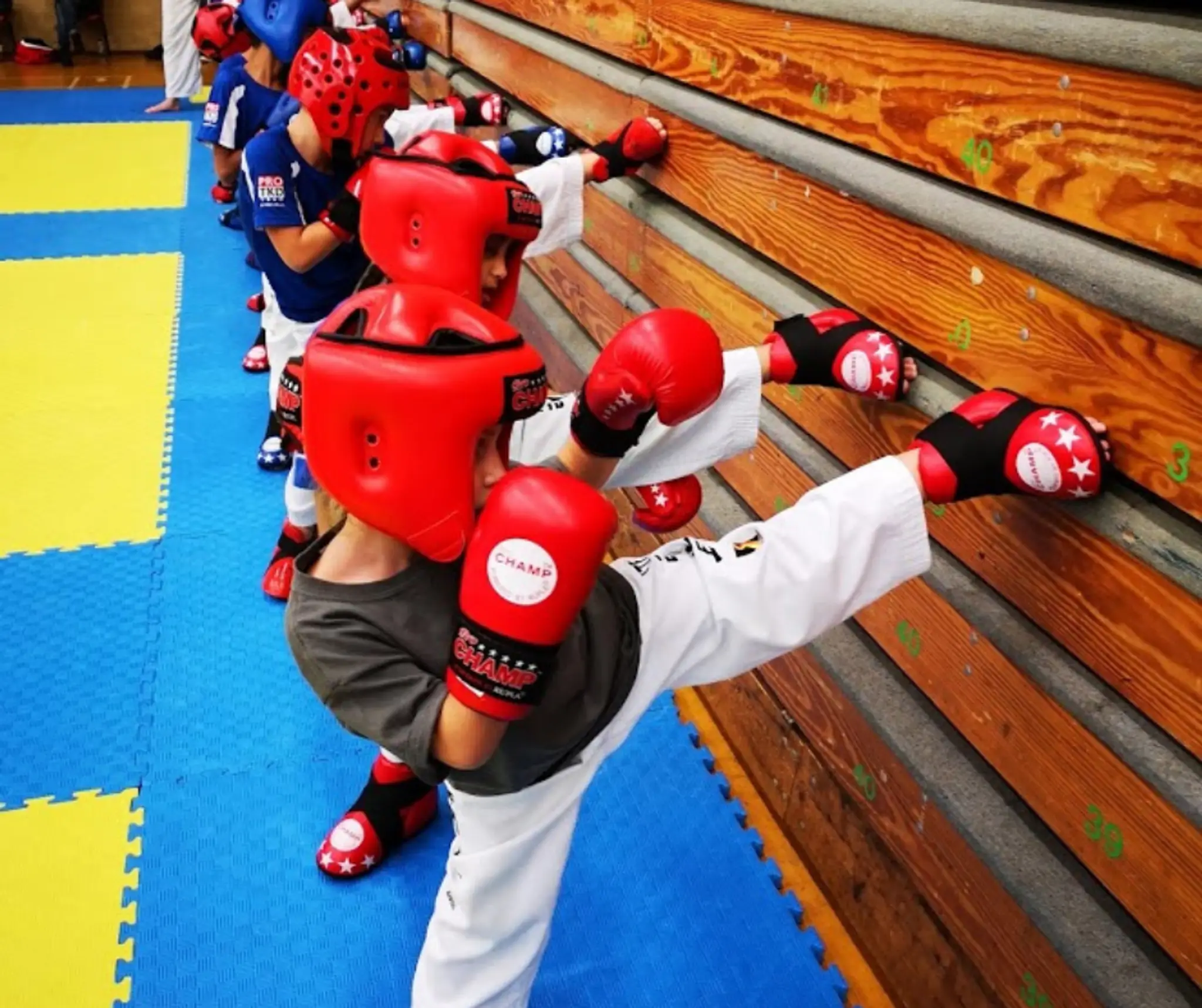 Thames Valley Pro Taekwon-Do