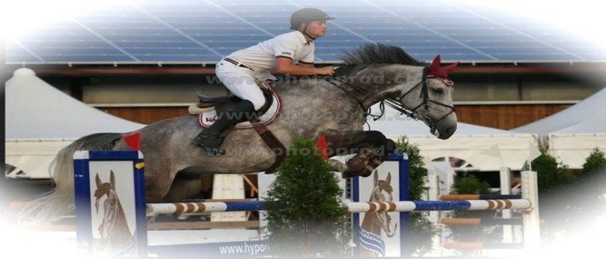 Springbank Riding School