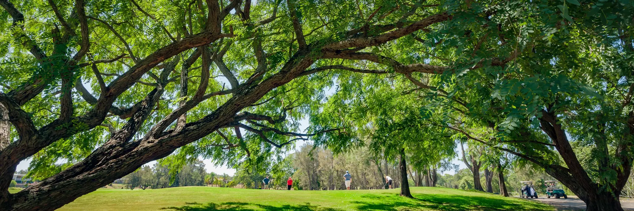 Windaroo Lakes Golf Club