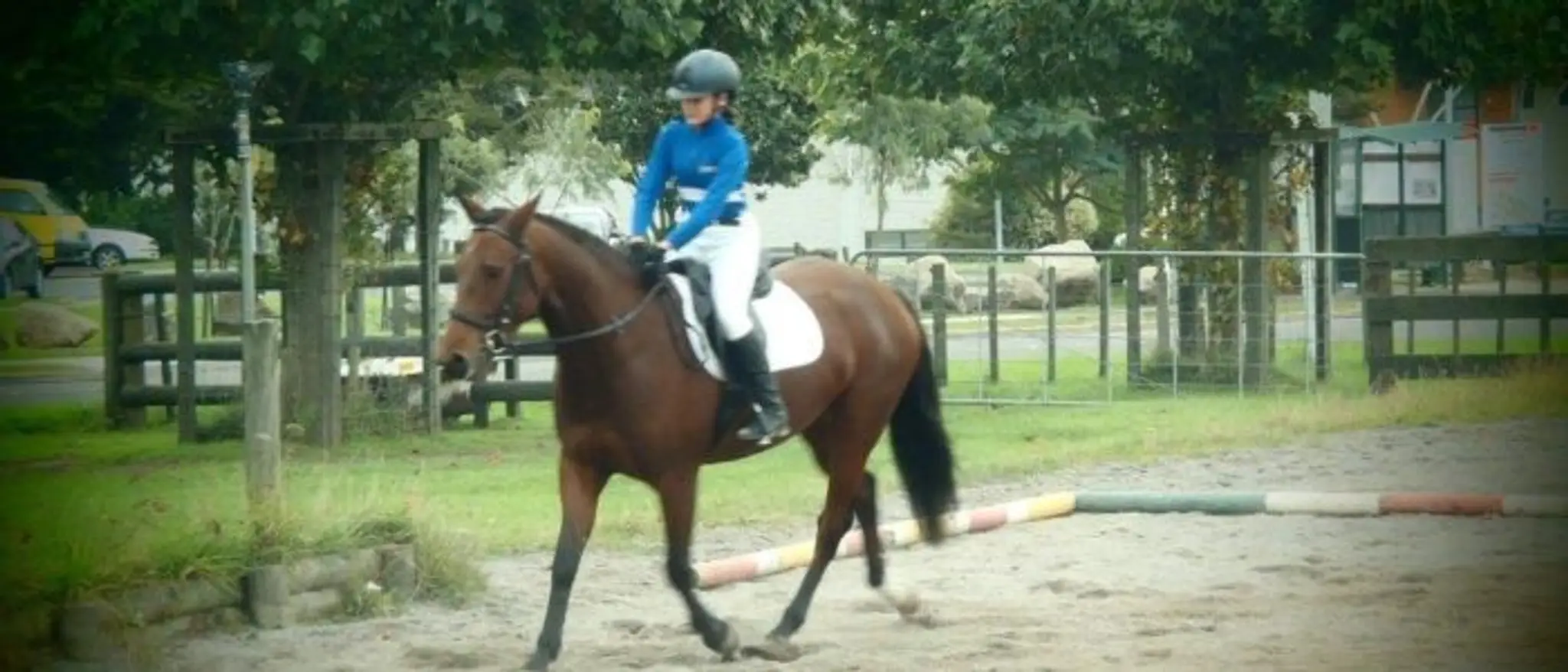 Mokoia Pony Club