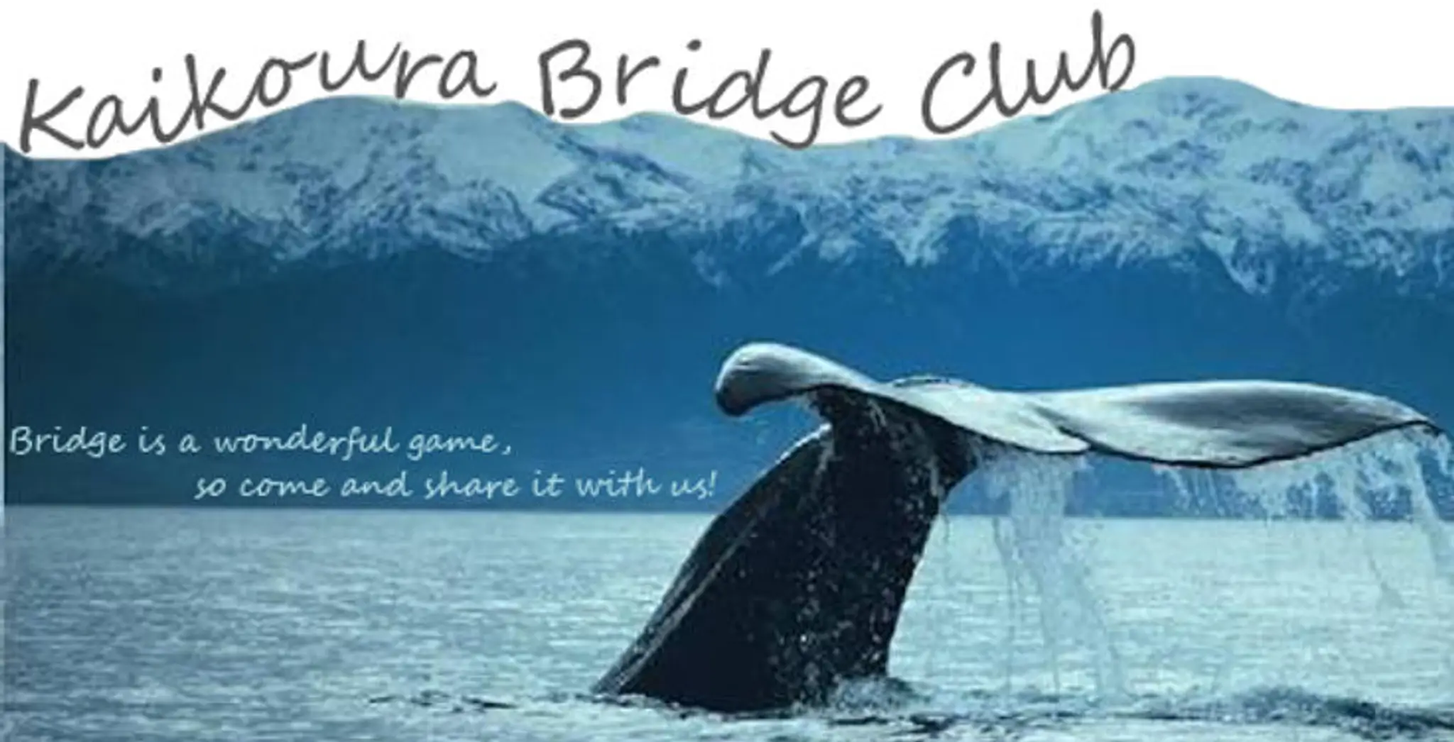 Kaikoura Bridge Club