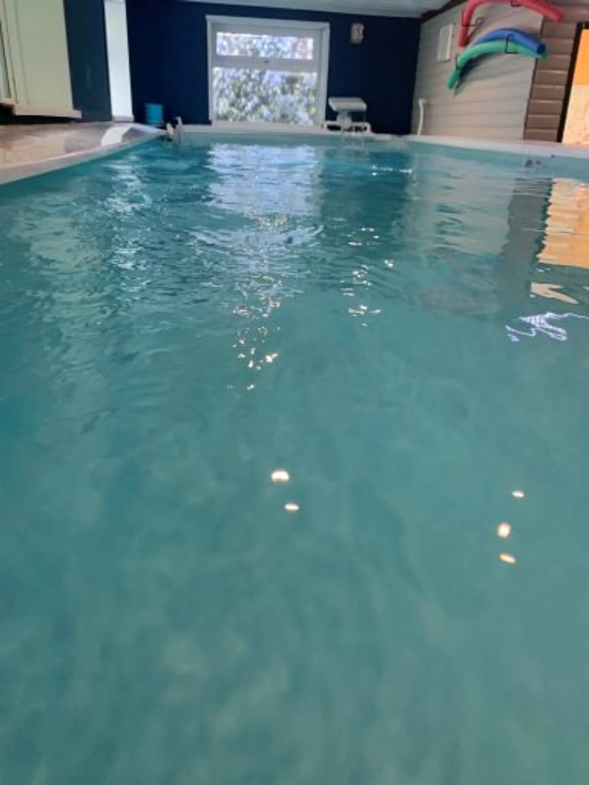 Ashgrove lodge and swim spa