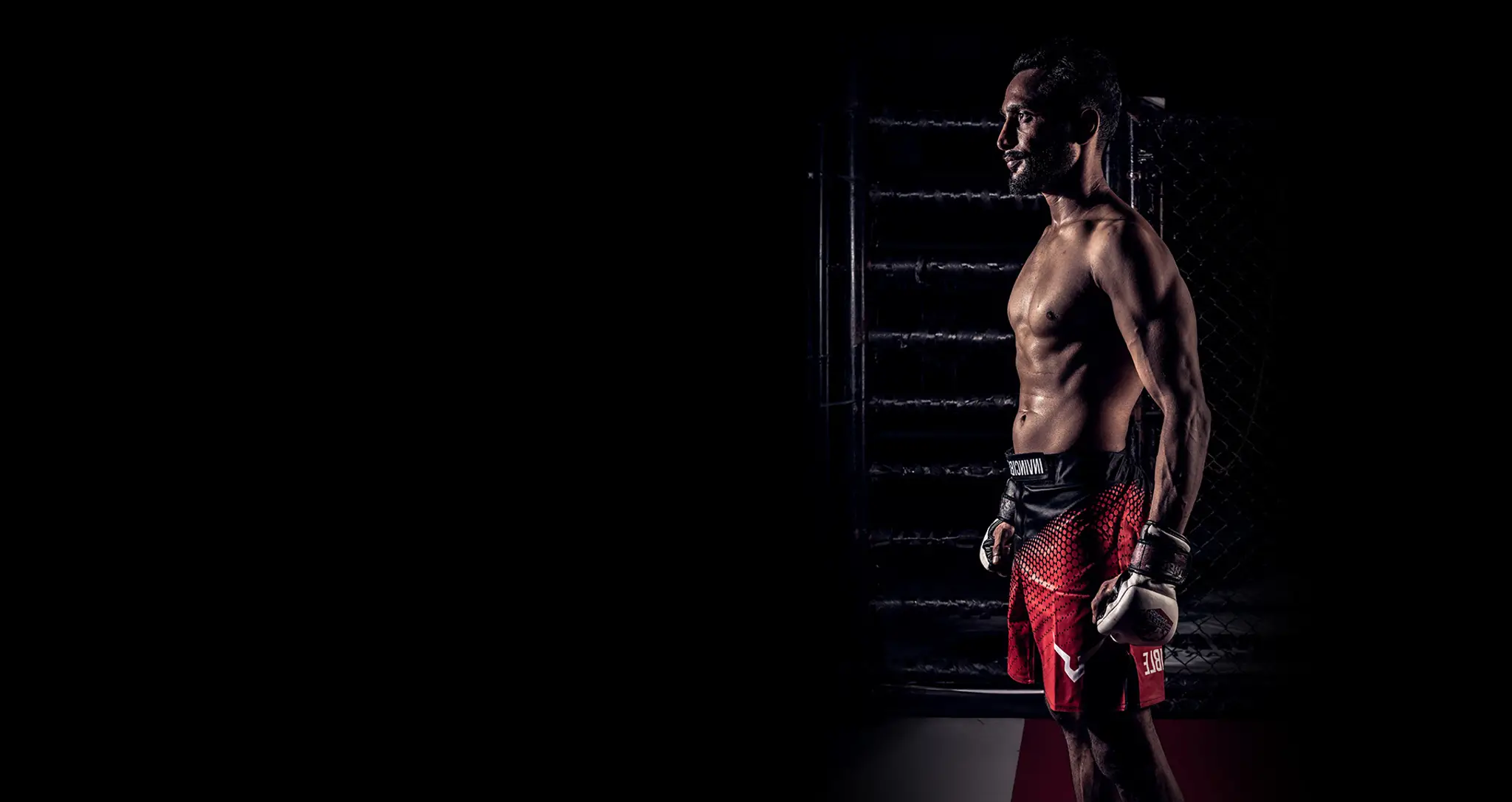 Fight Elite Mma