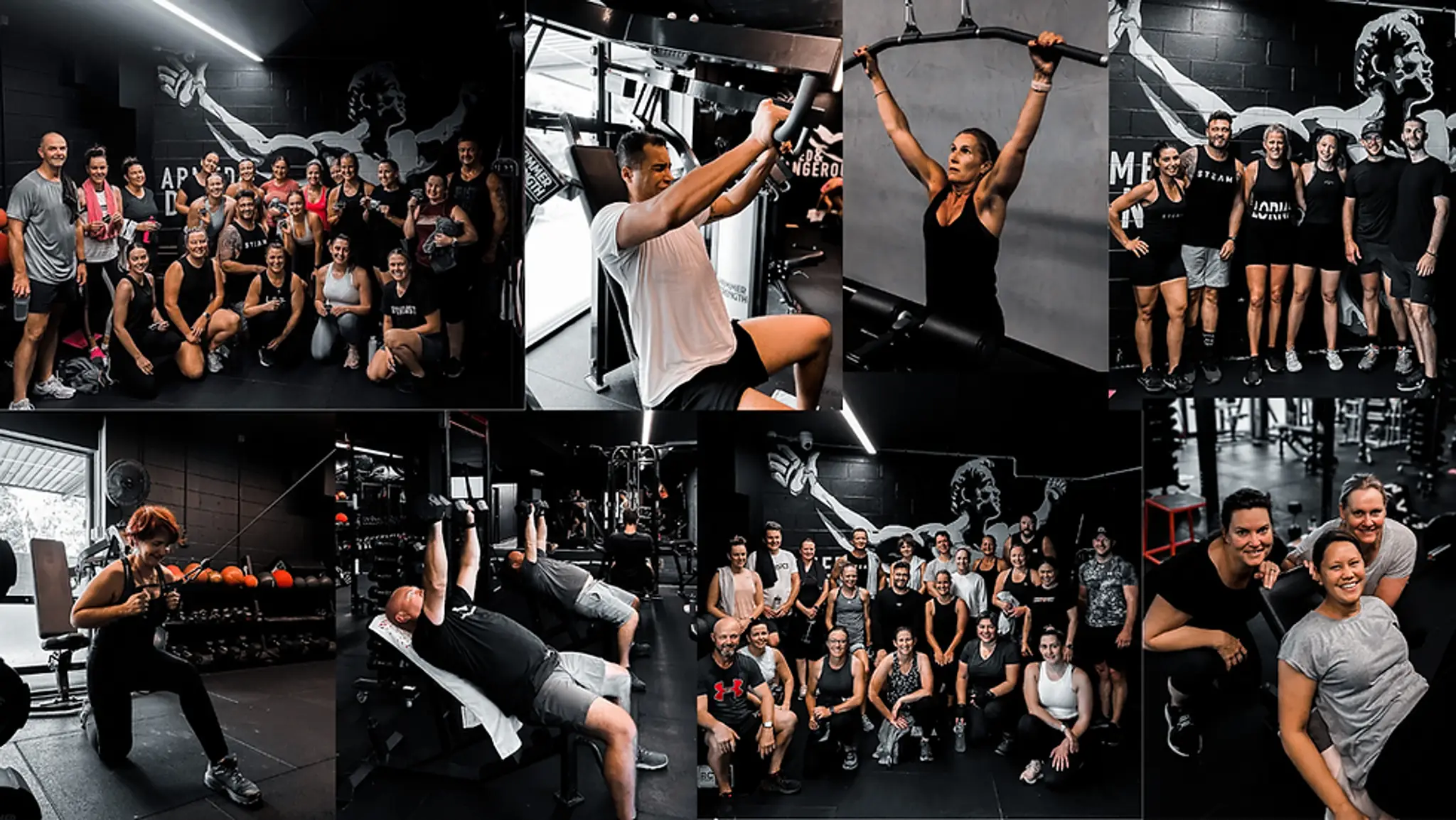 Steam Training Fitness