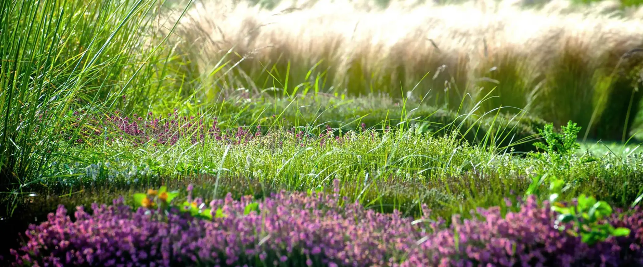 Piscines CARRE BLEU - Spas ERIC LEQUERTIER Architecte Paysagiste