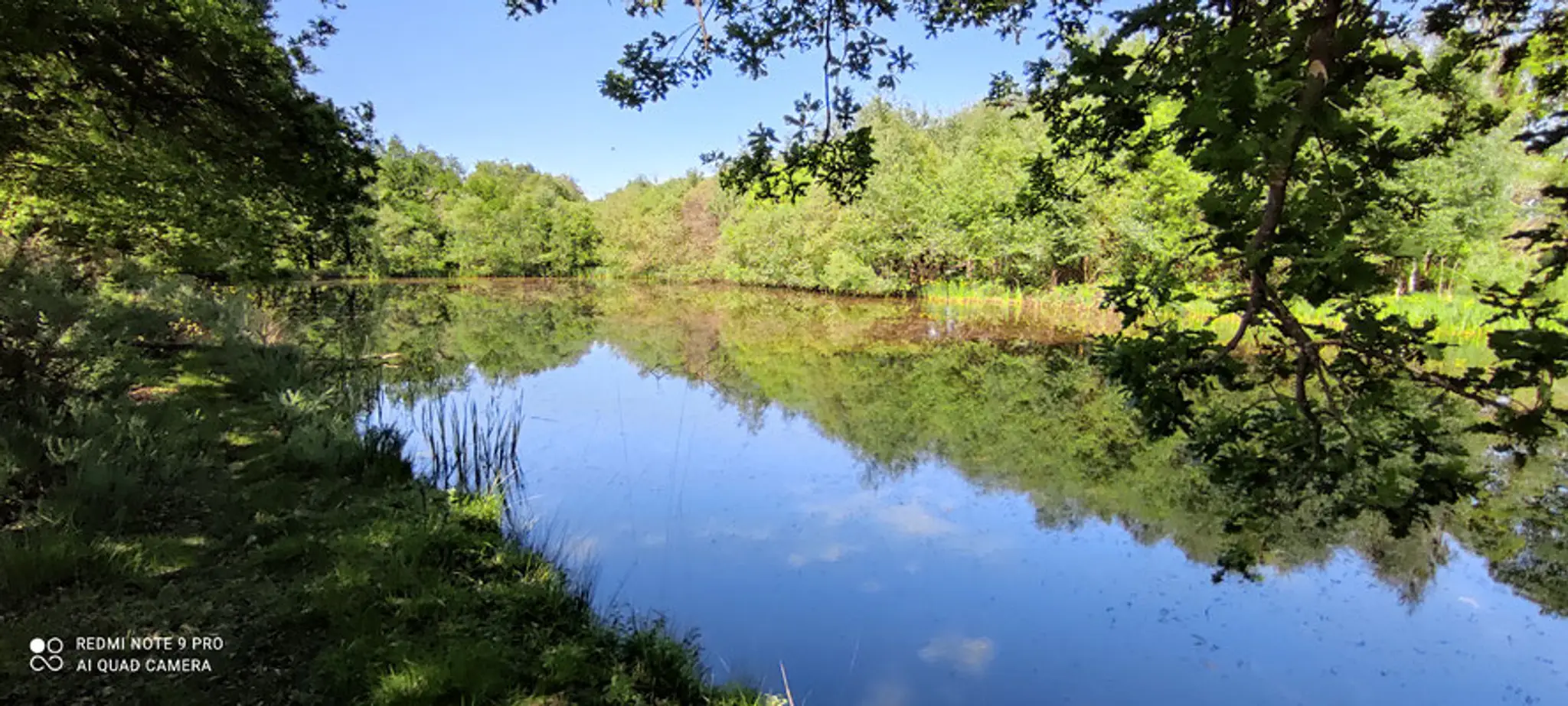 Etang du Loc'h Location étang privé