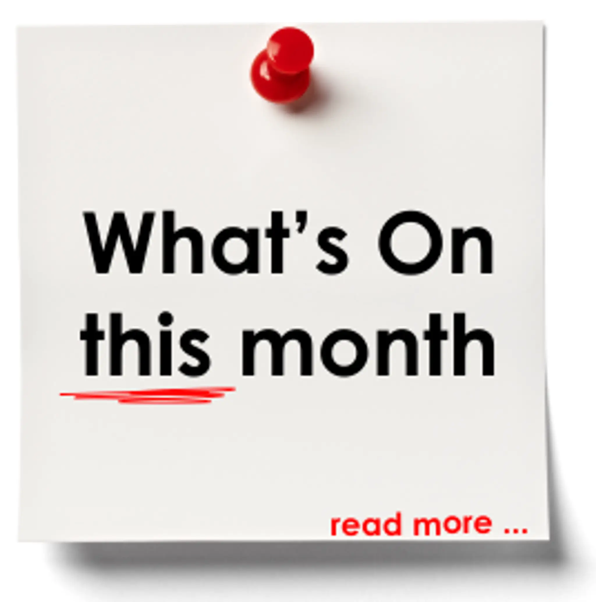 Sydney Bridge Centre