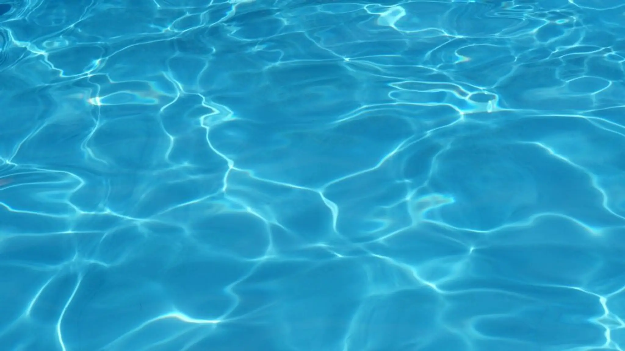 Cormorant Swim Club