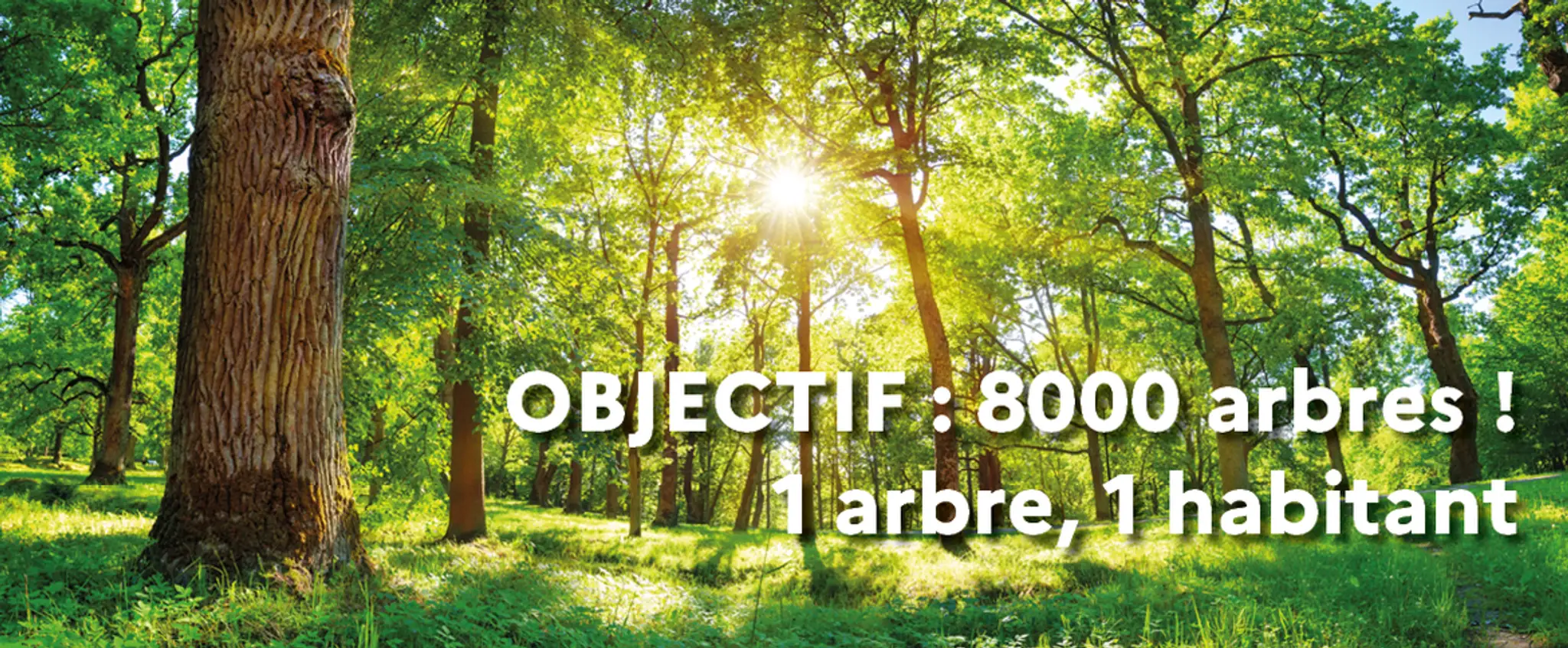 Piscine de La Couronne