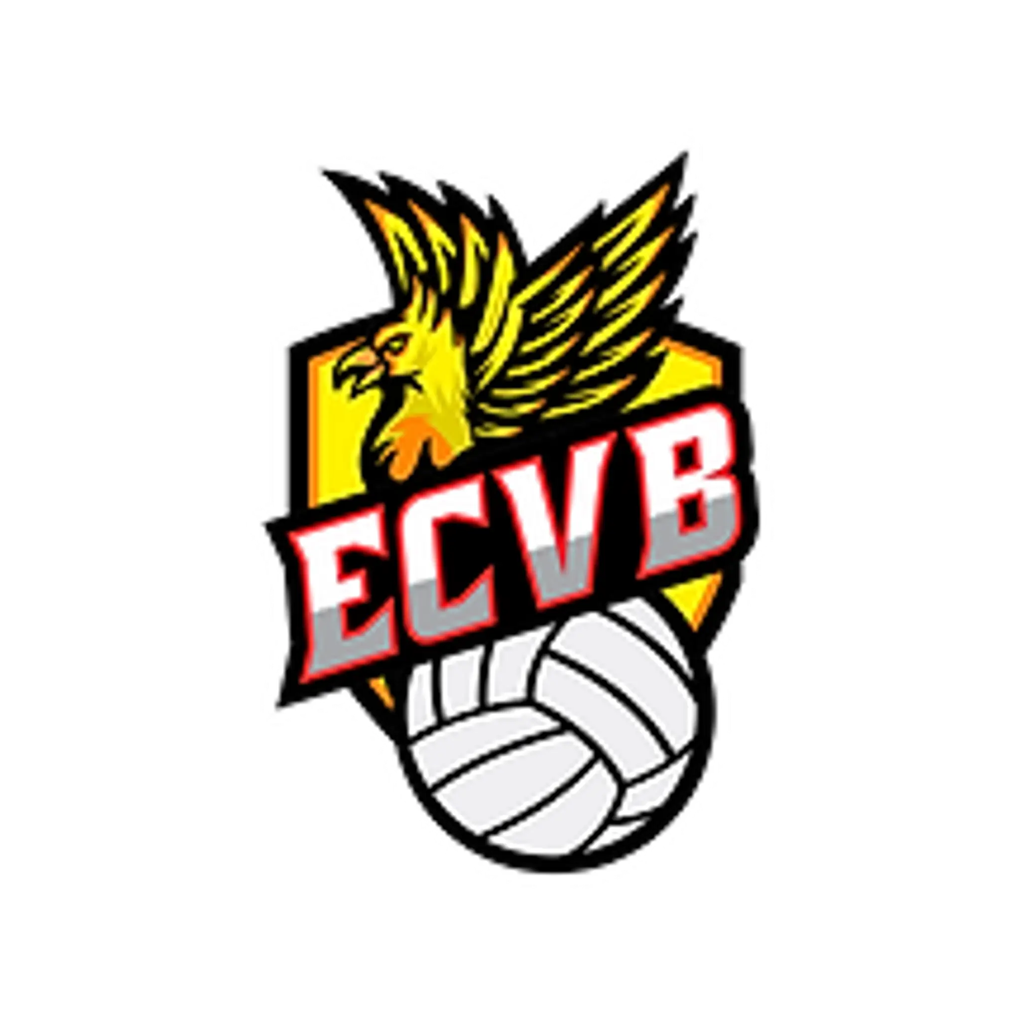Entente Choletaise Volley Ball