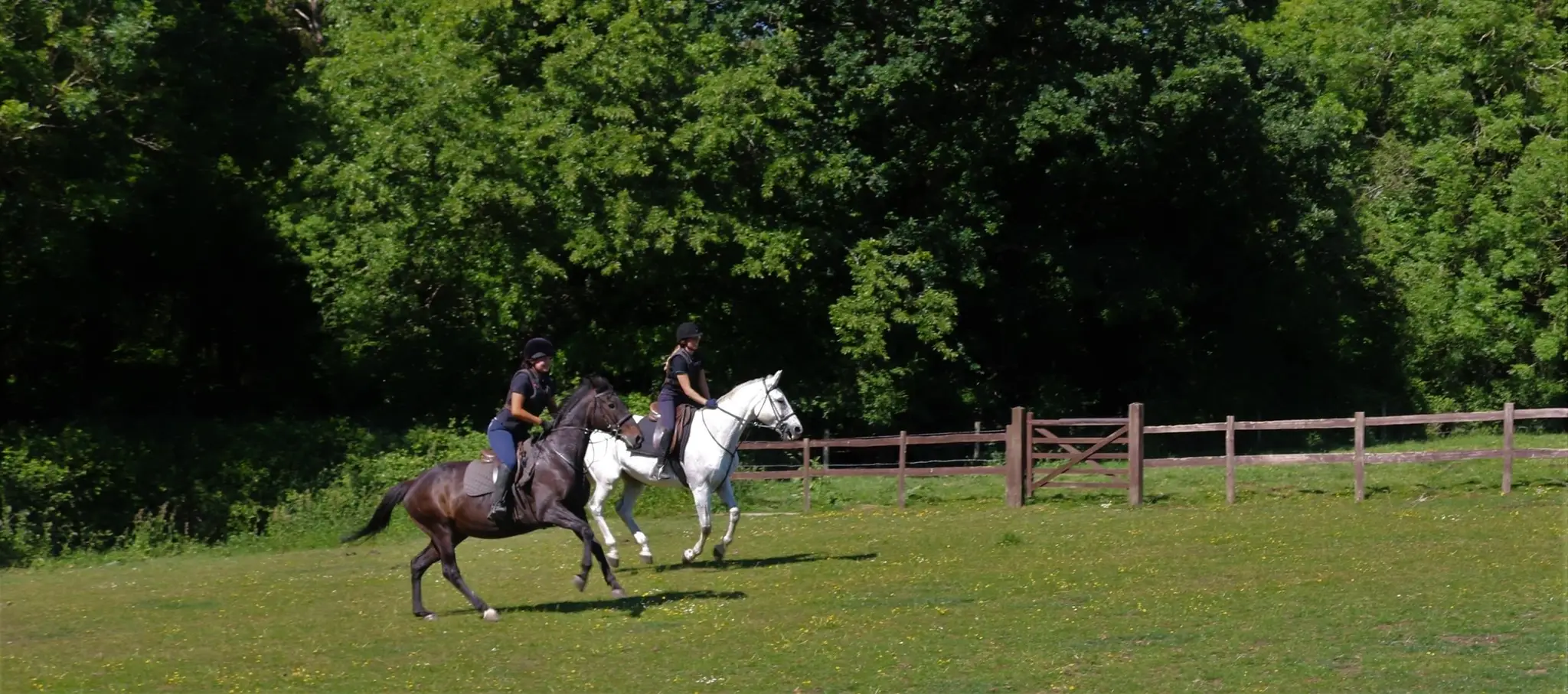 Hall Place Equestrian Centre