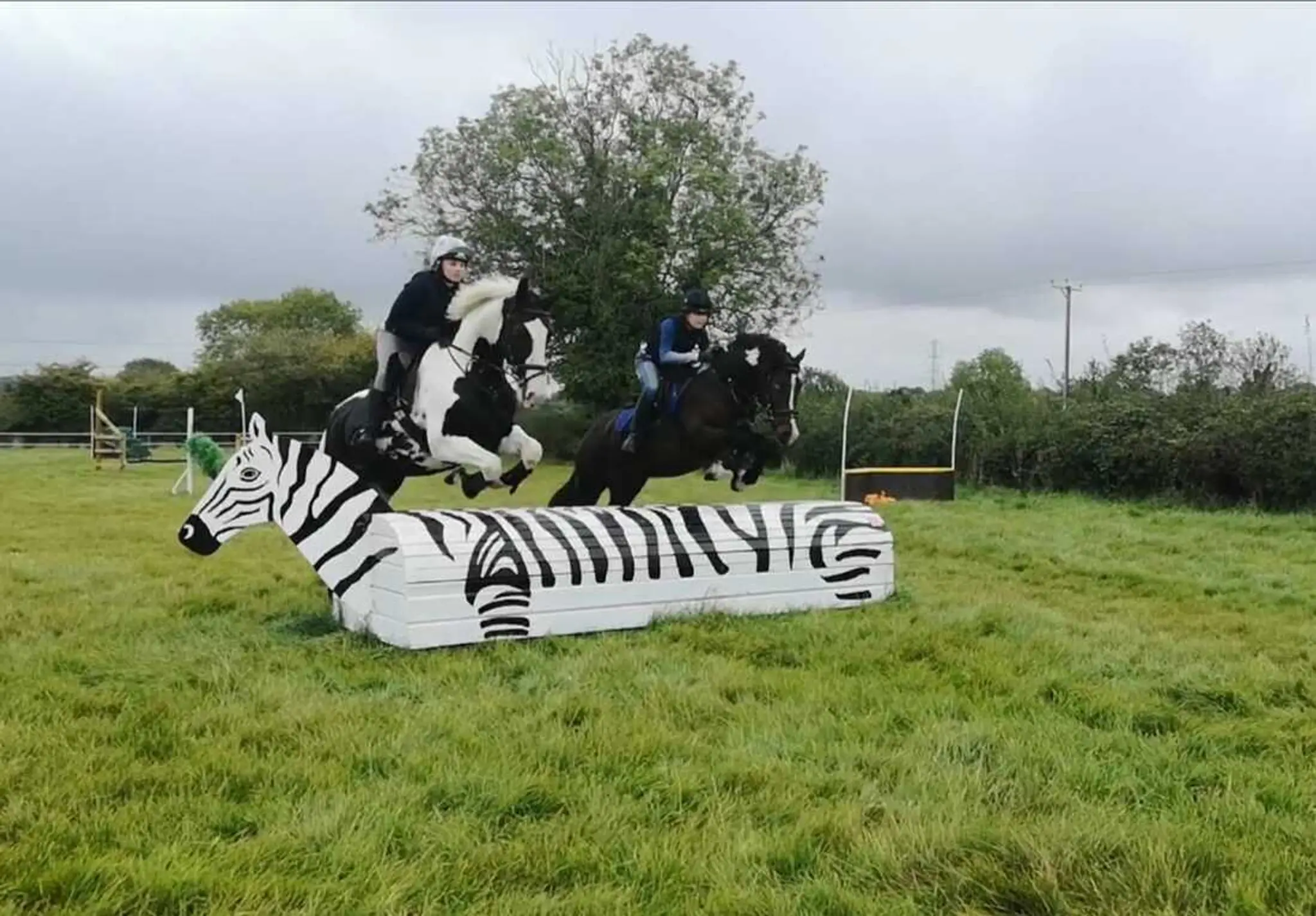Cottage Farm Stables