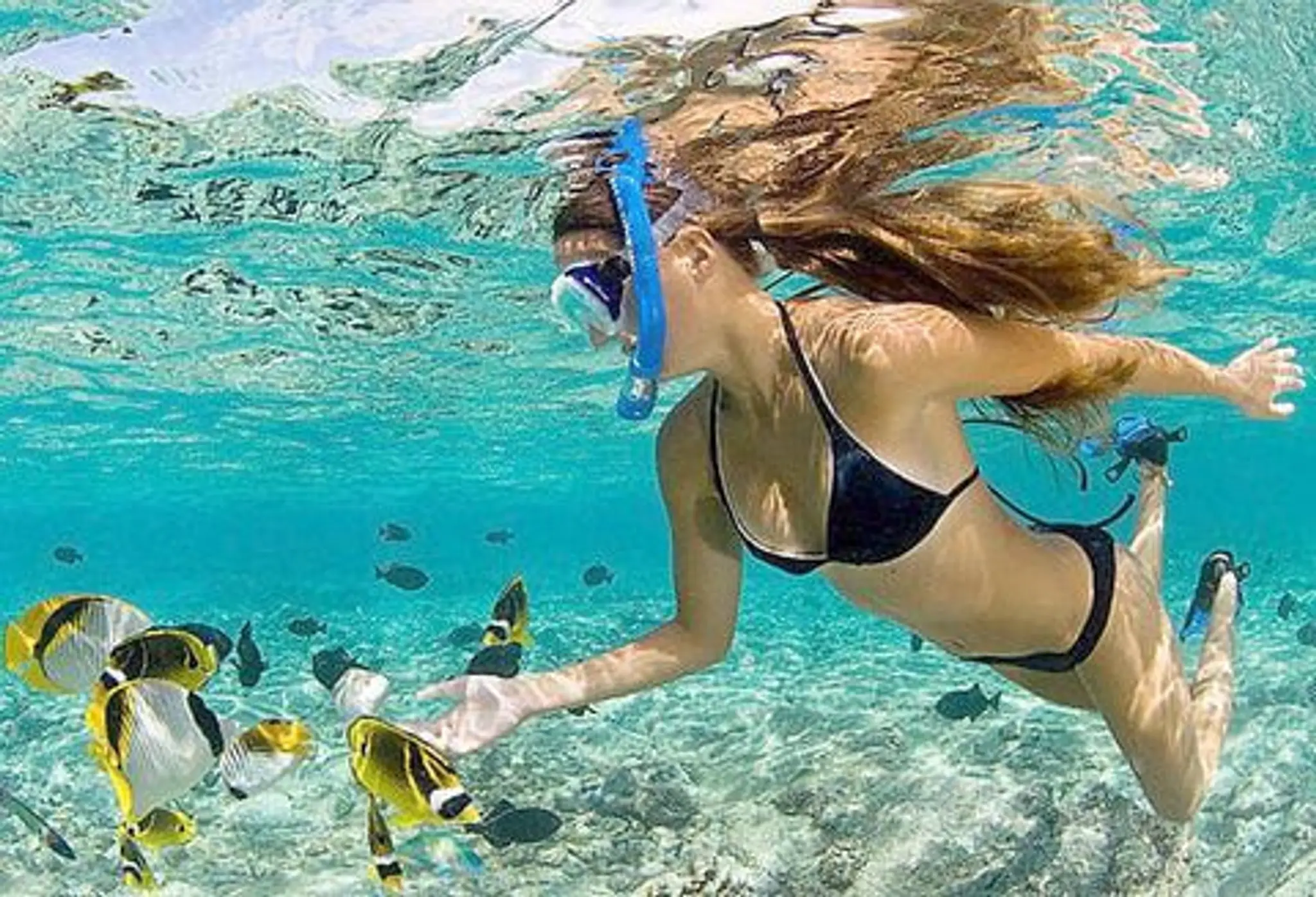 Reefinity Adventures