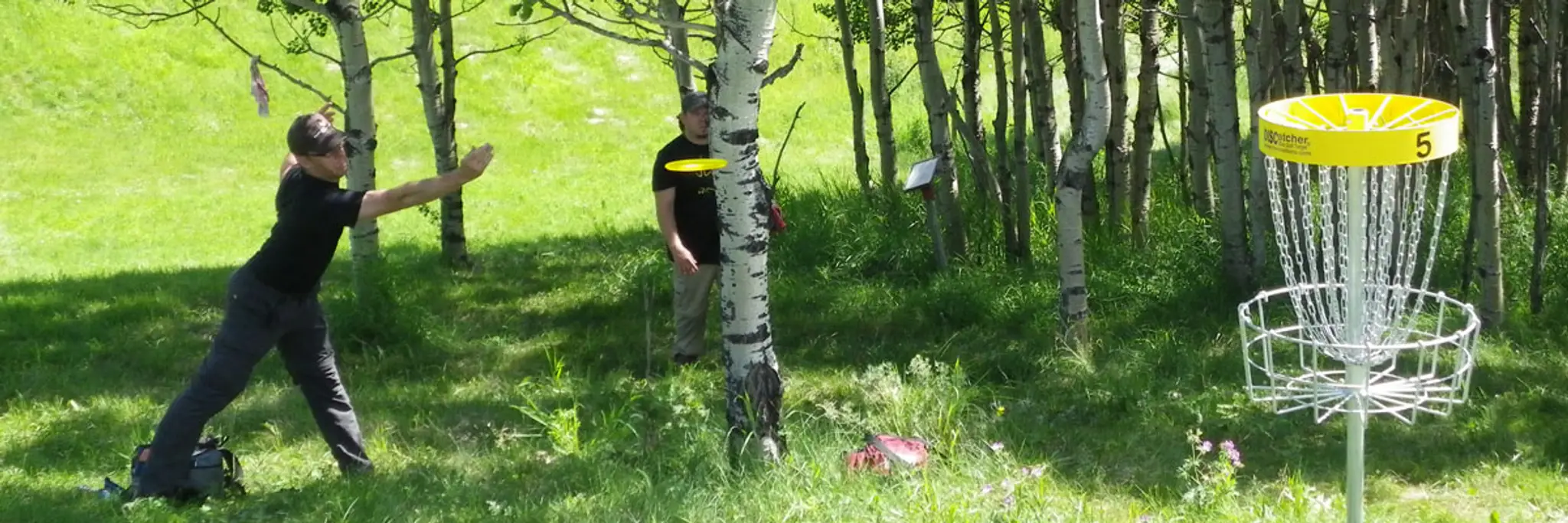 WJ Homestead Disc Golf