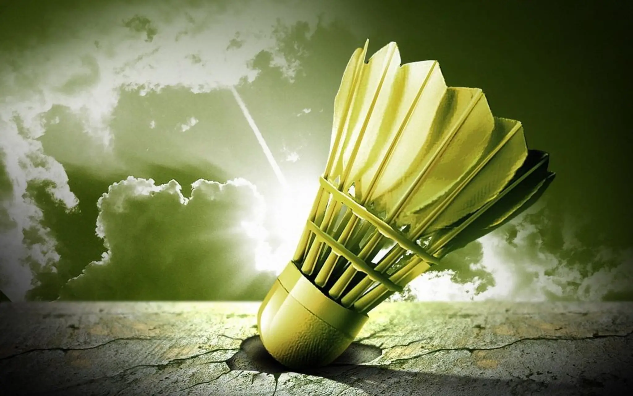 The Allseasons Badminton Club