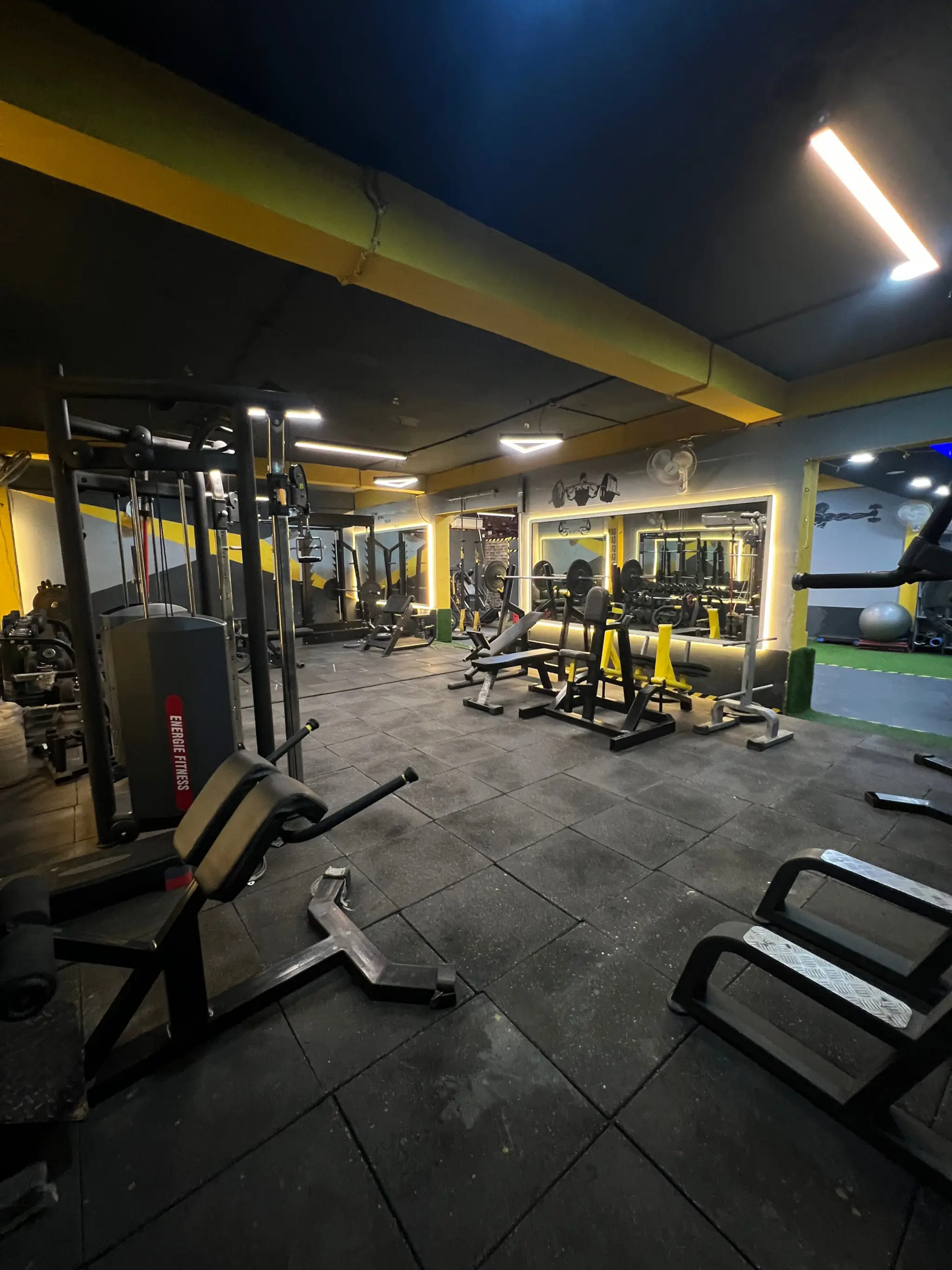 Bulls Gym