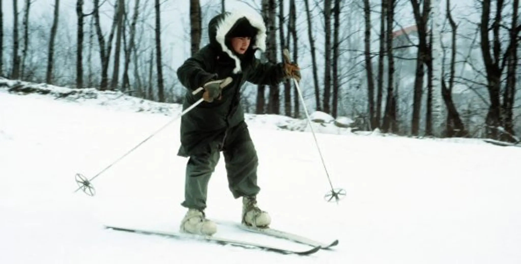 Algonquin Lakeside Resort