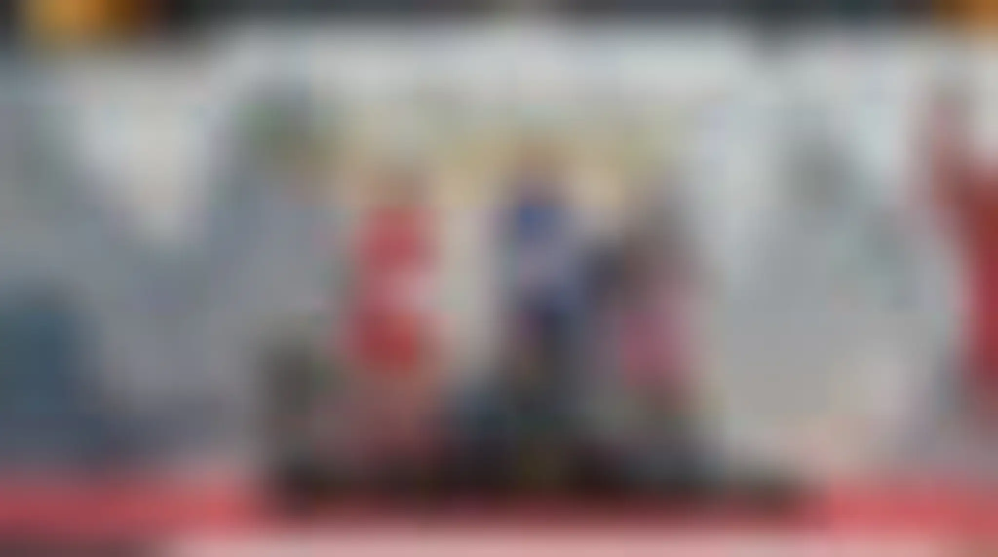 Bordeaux Mantis Boxing