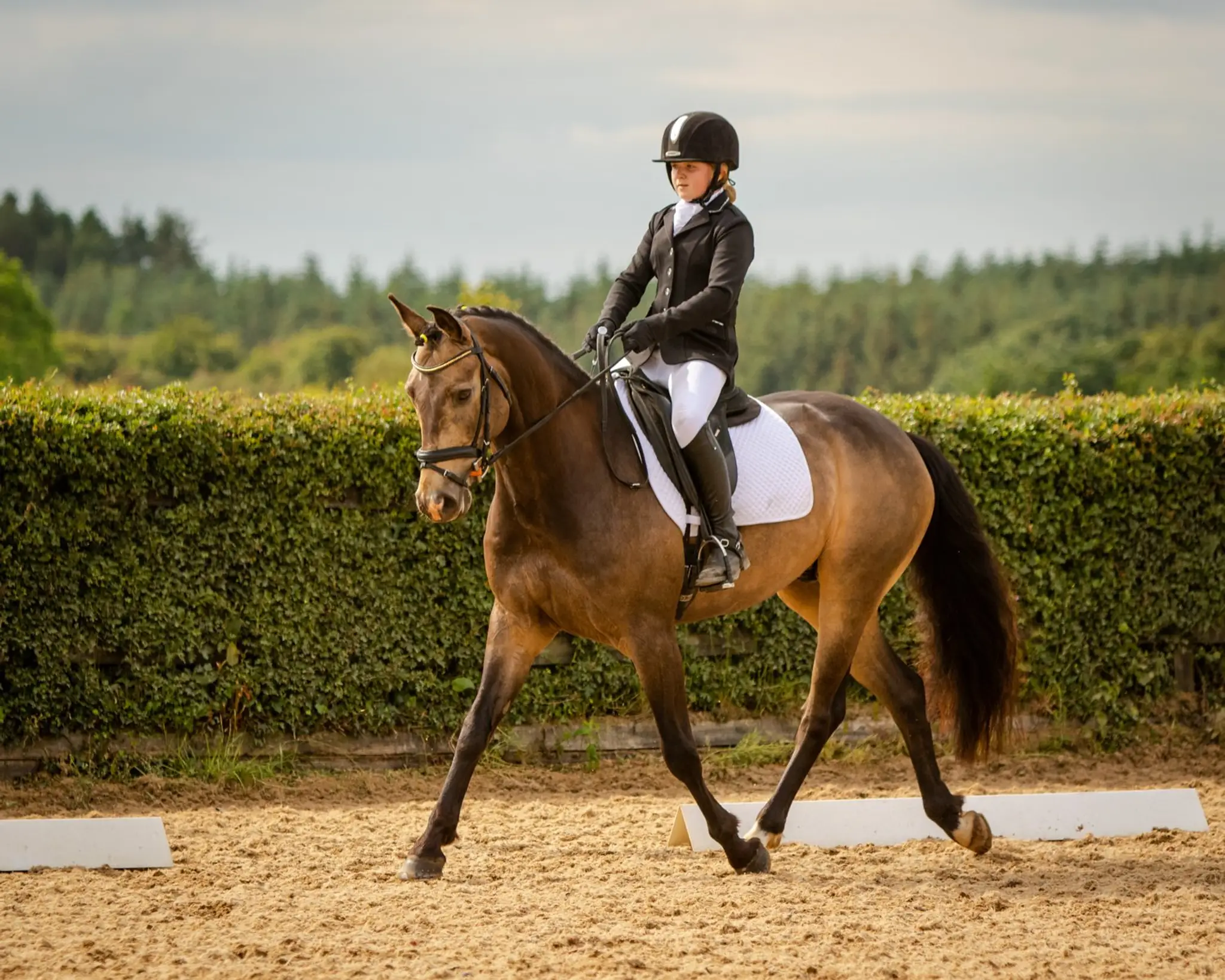 Annaharvey Equestrian Centre
