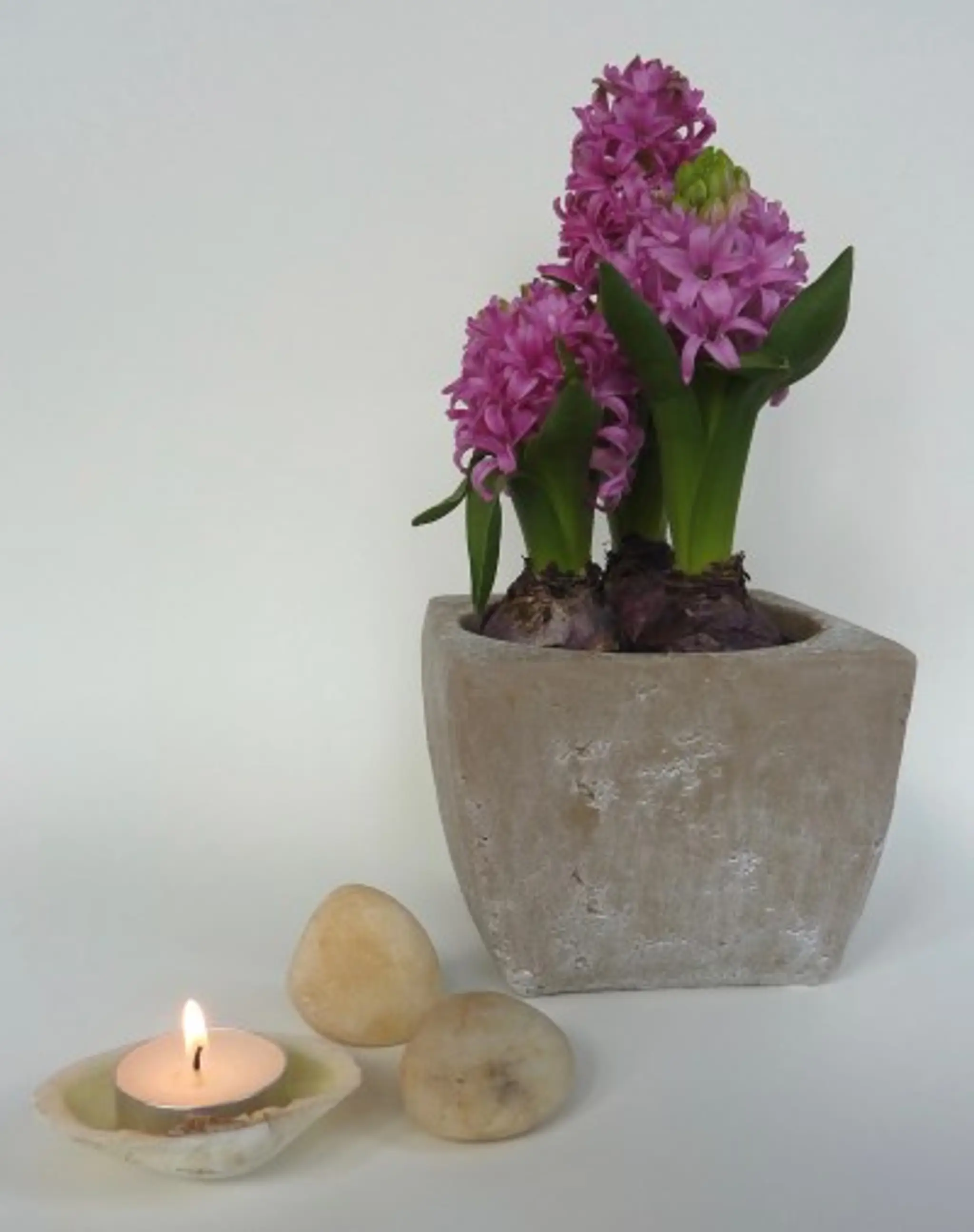 Josh Whaley Therapies