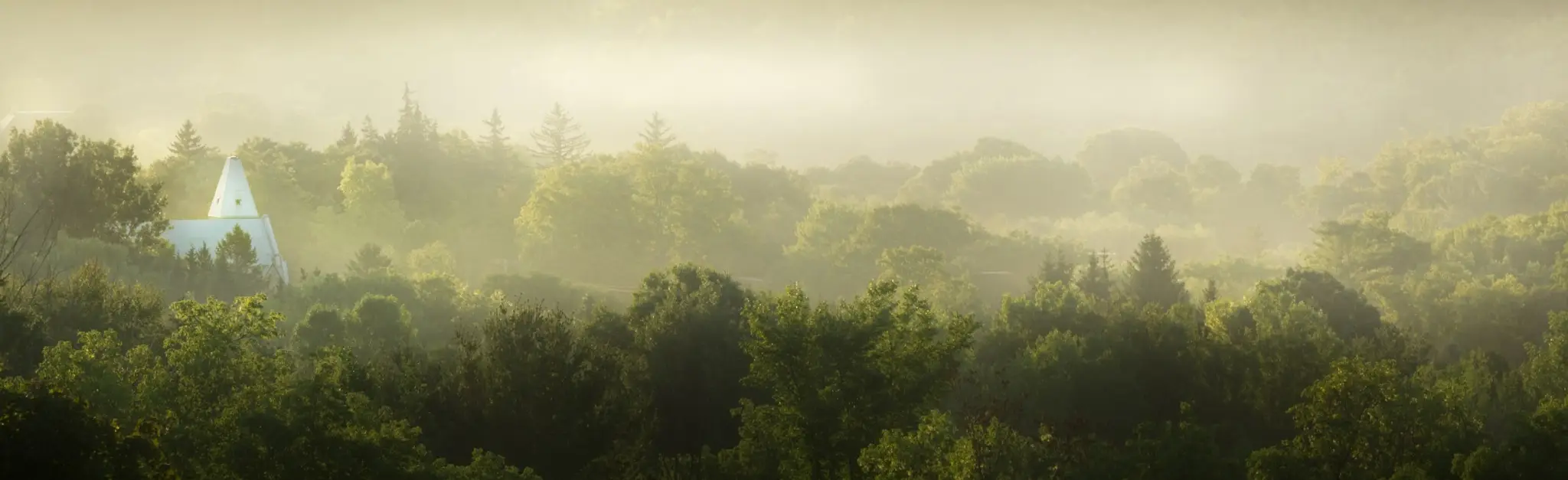 Meadow Trail Head - Elgar Dr