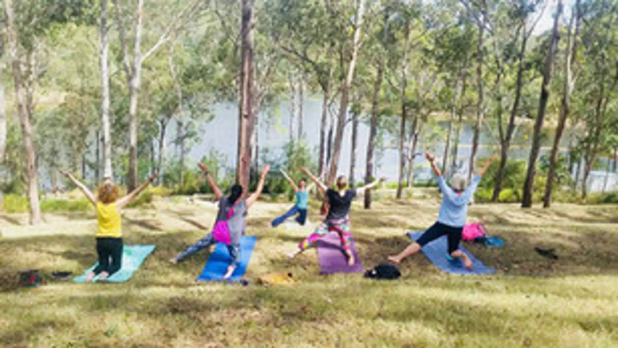 Wild Peace Unlimited