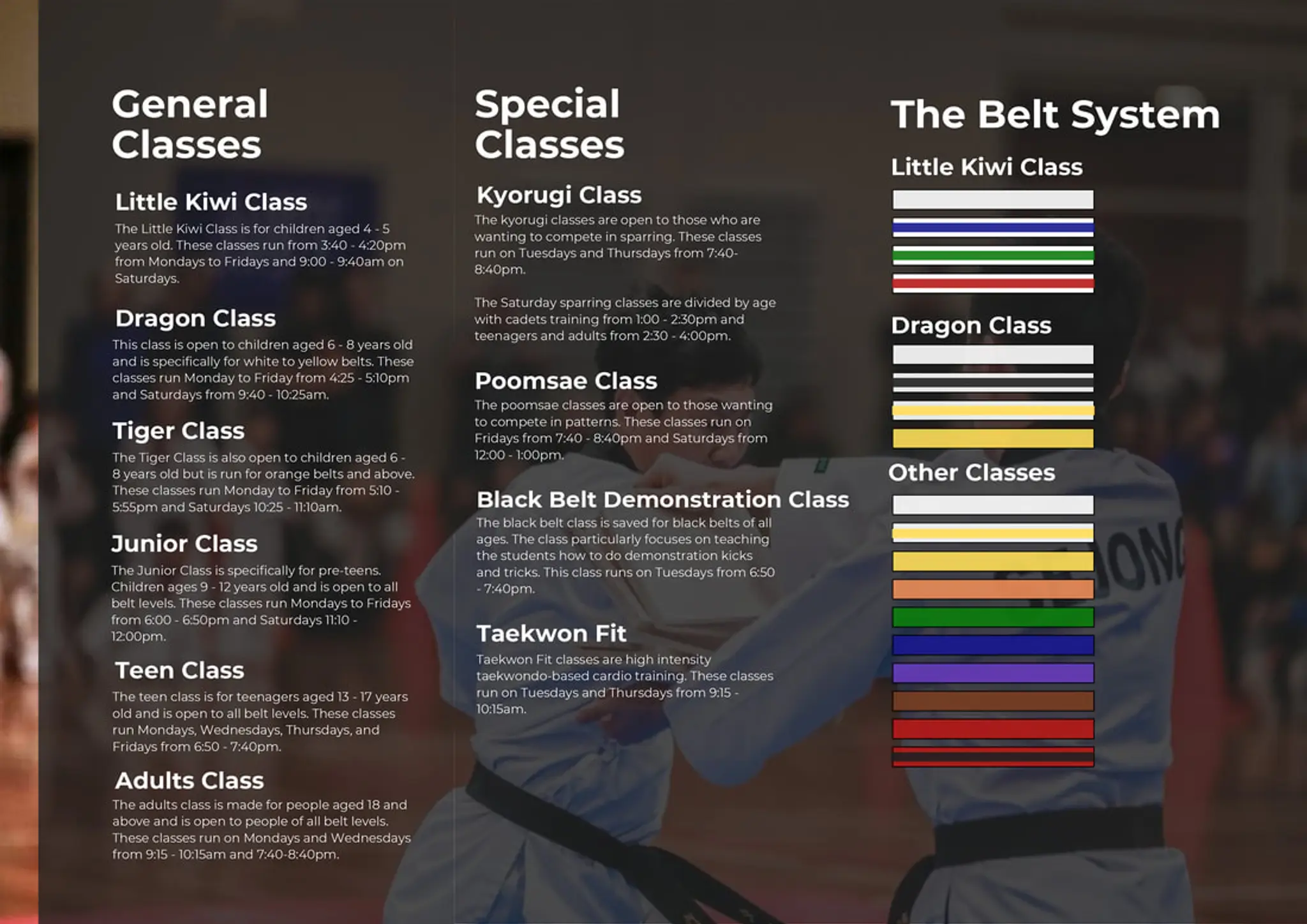 Sejong Taekwondo - Browns Bay