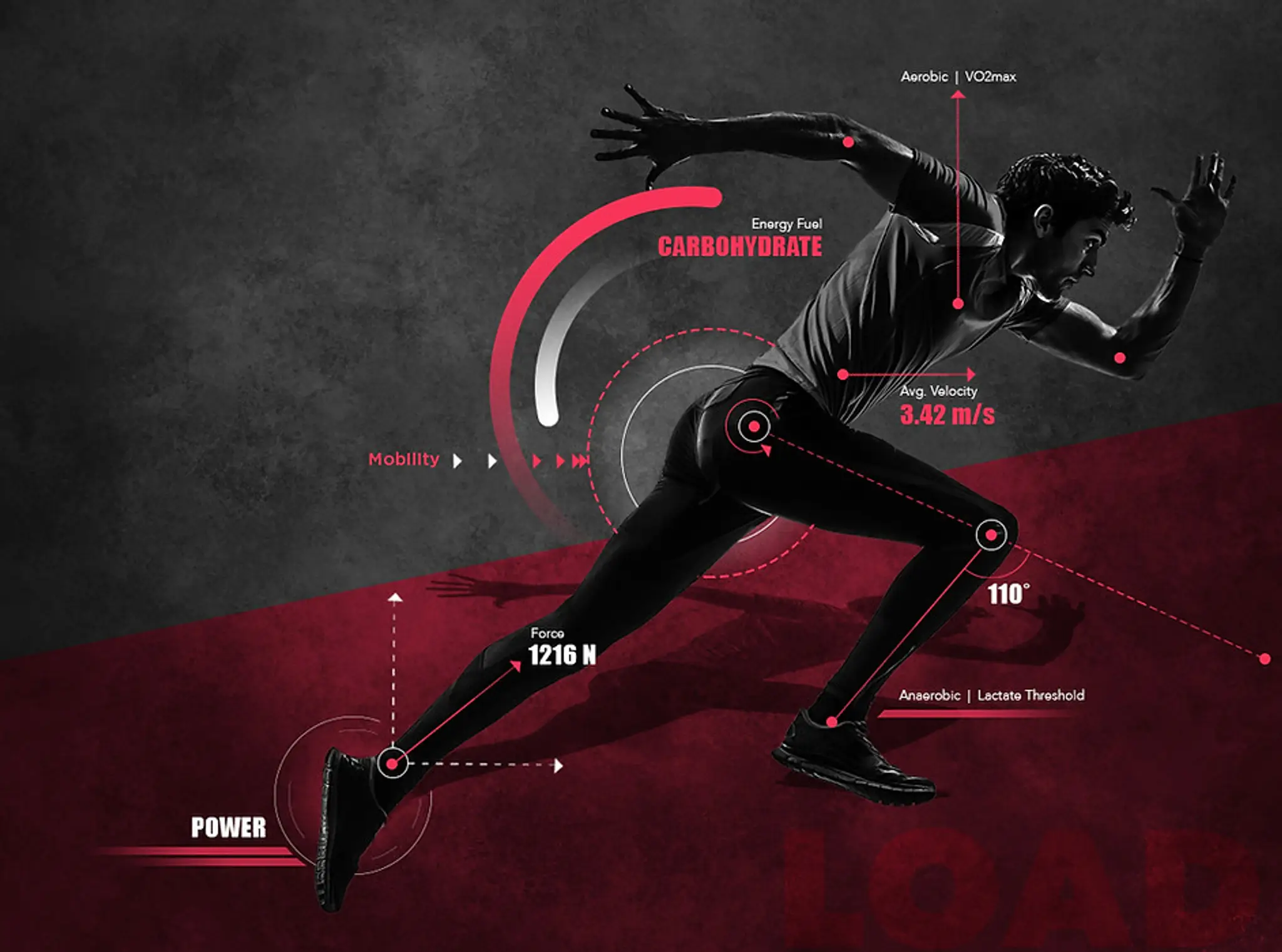 LOAD - Peak Your Performance