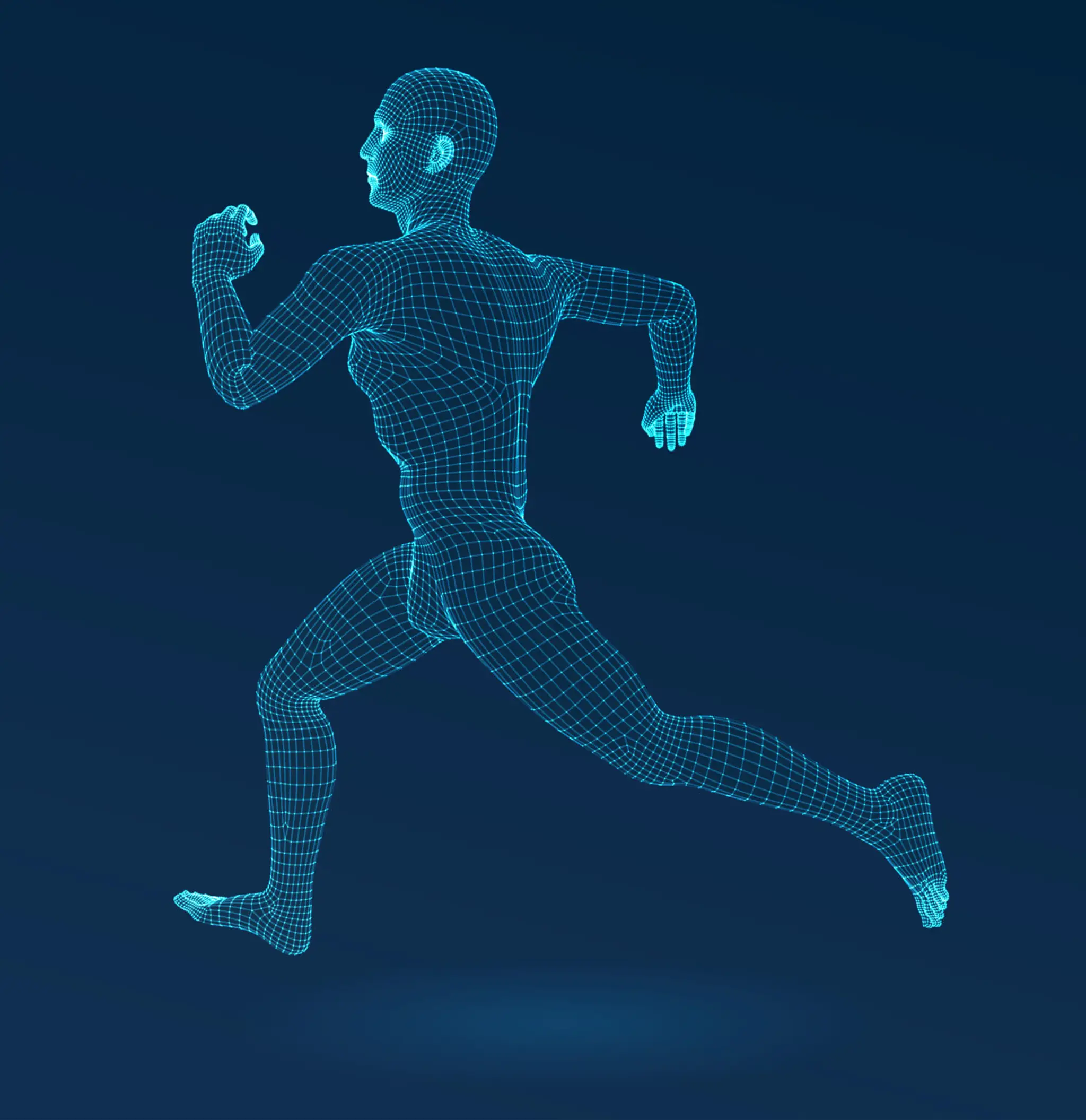 Hawthorn Physiotherapy Clinic