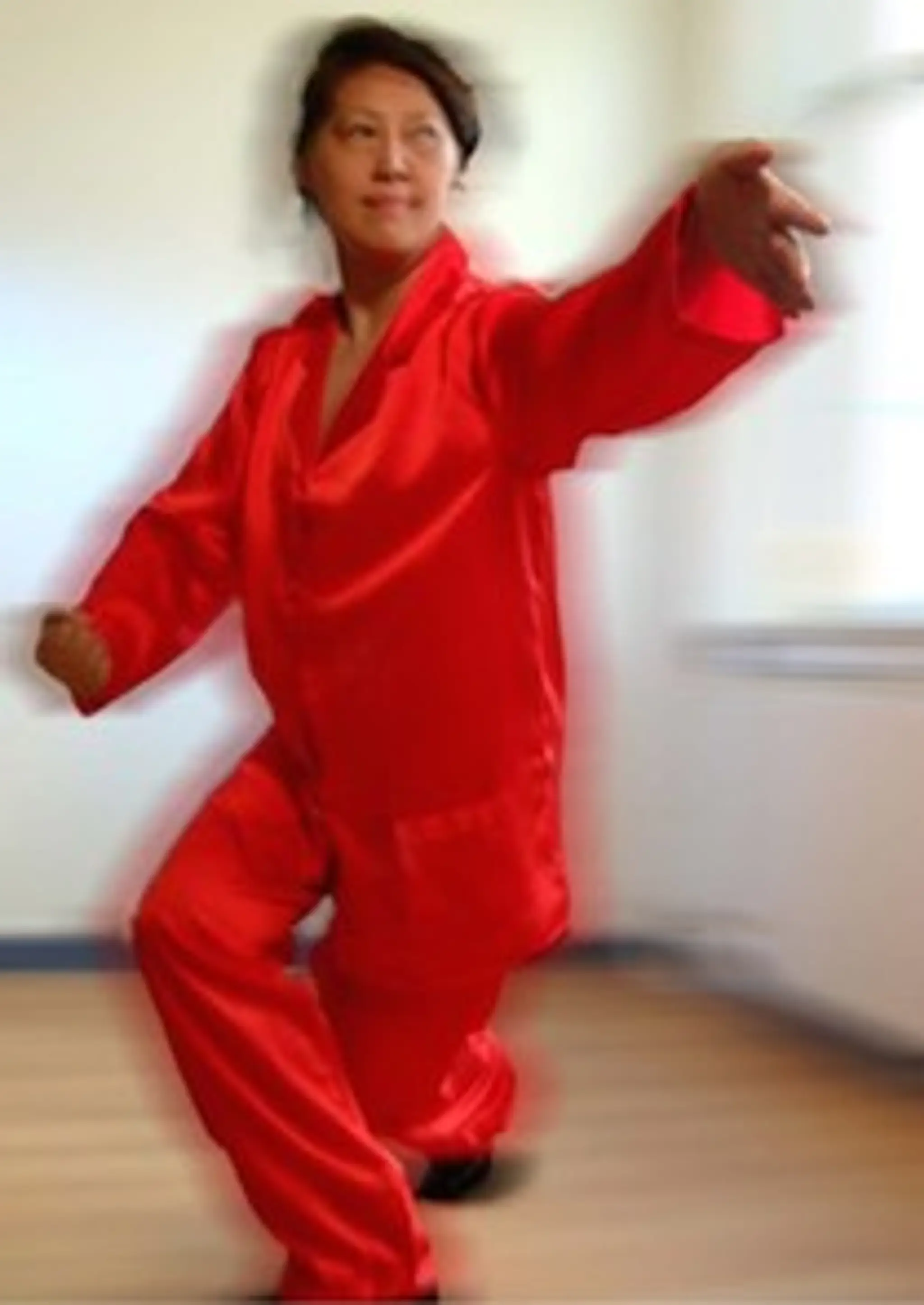 Bristol Tai Chi