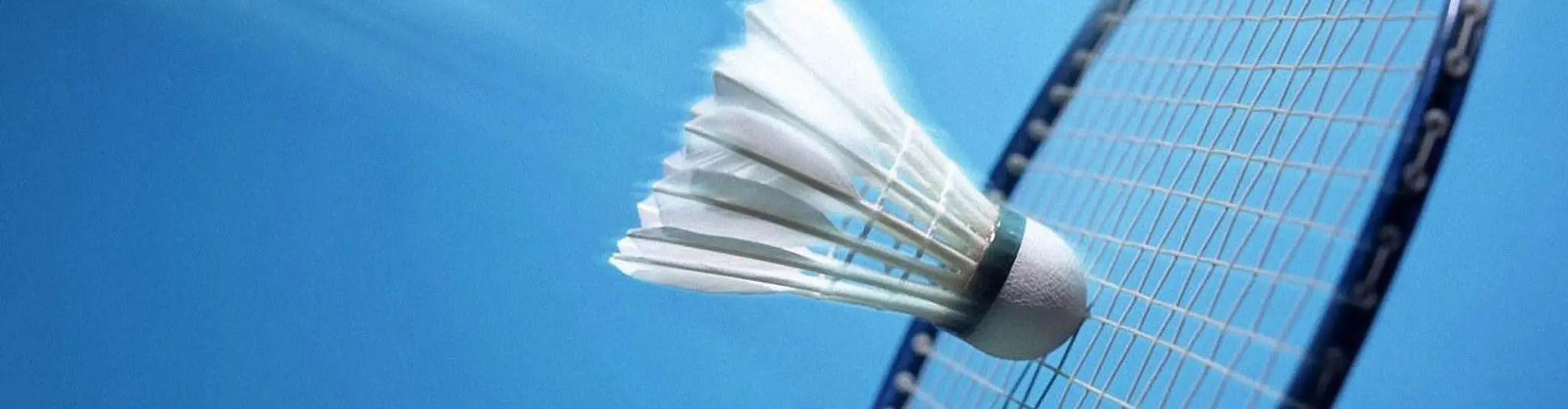 Shuttlesport Badminton Academy