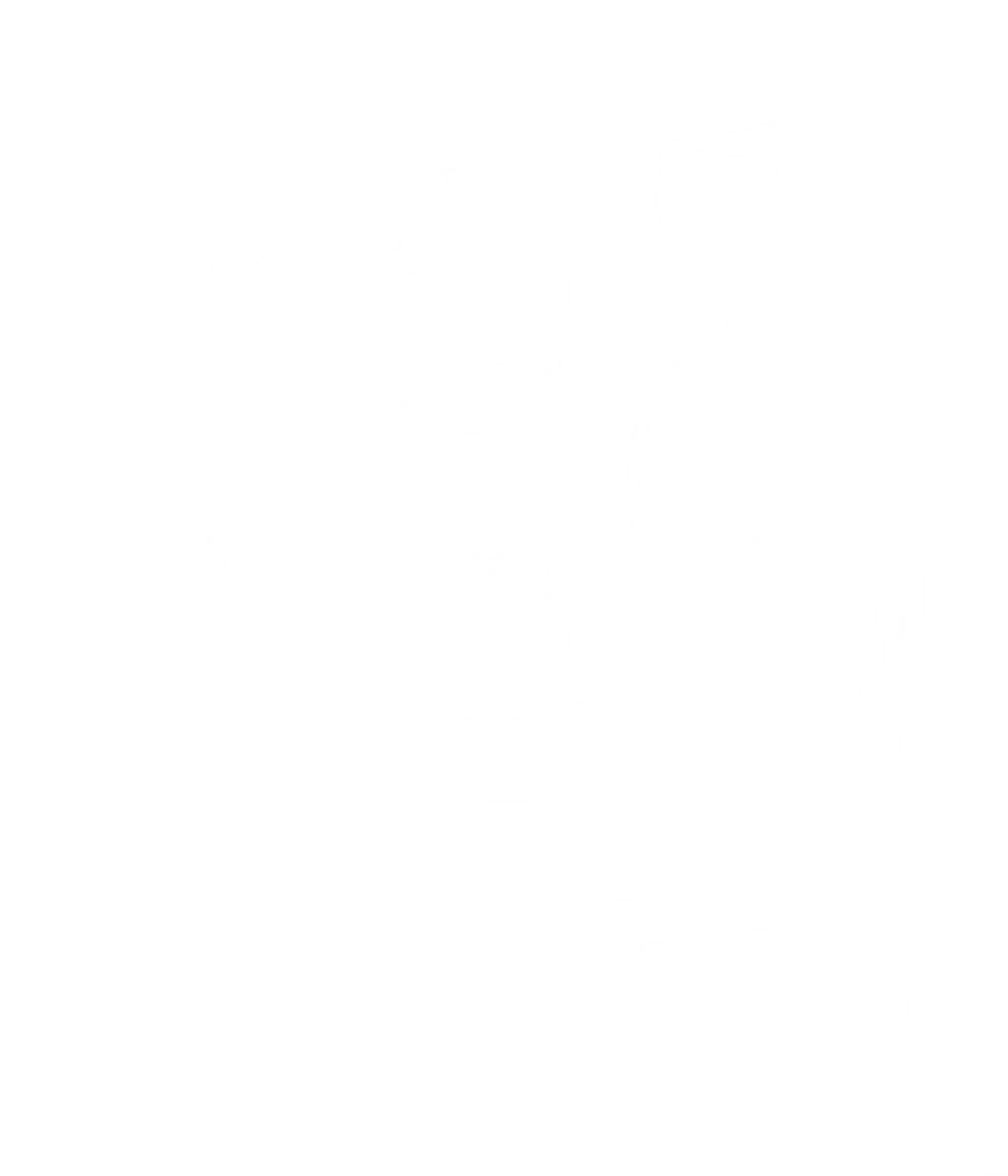 Northern Belle Laser Aesthetics & Wellness Studio