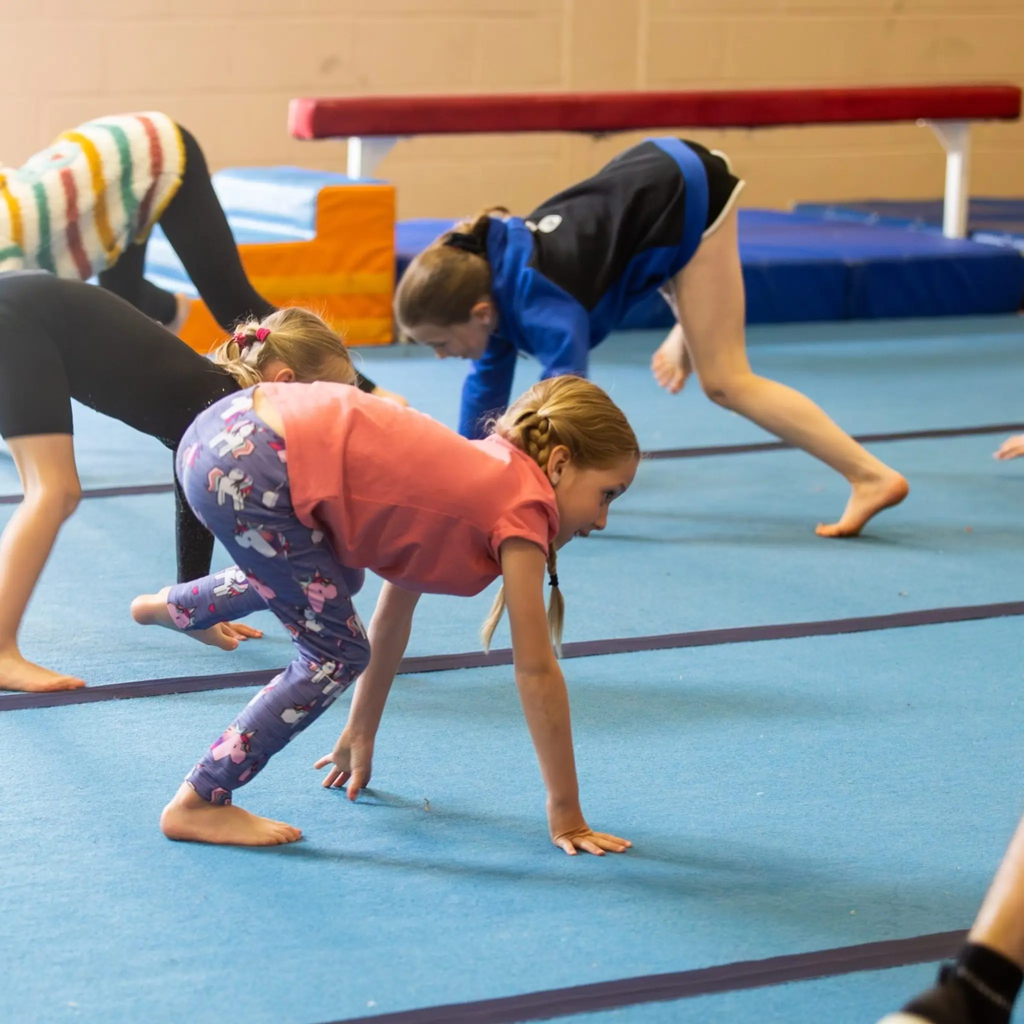 Springfit Gymnastics & Trampoline Club