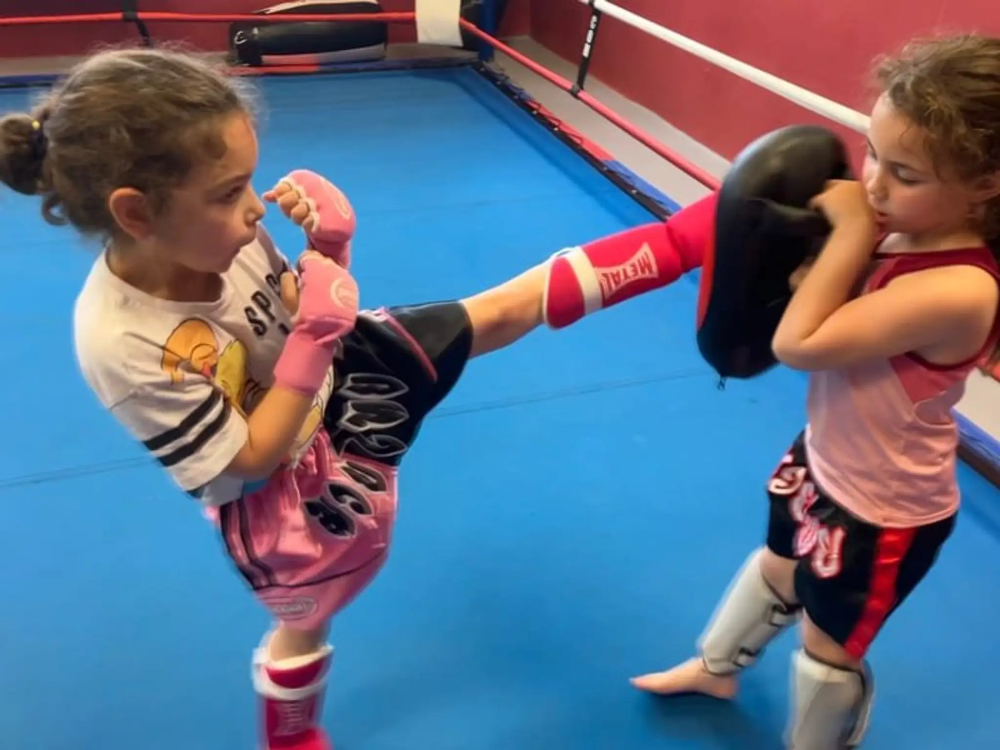 Licorne Boxing