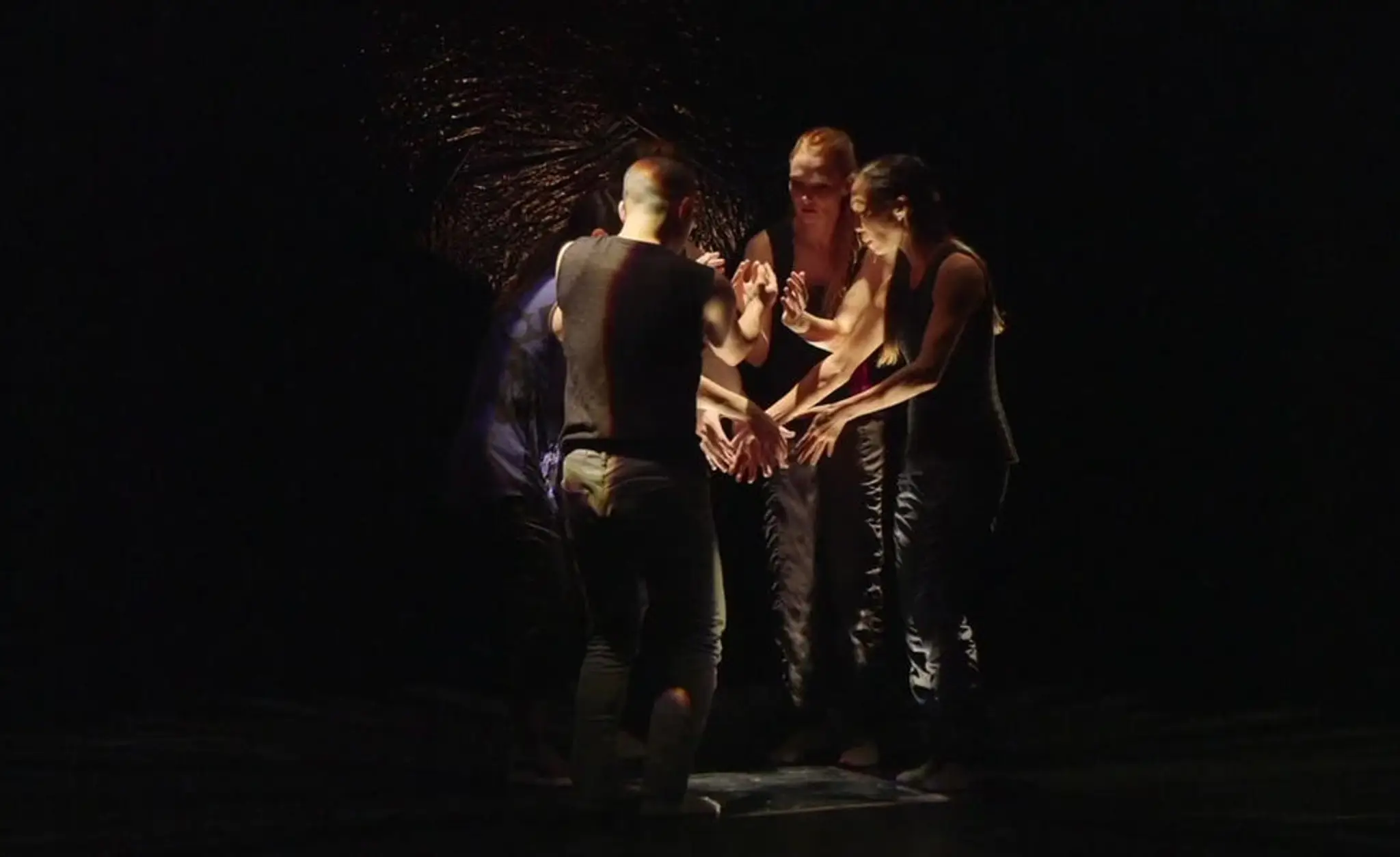 dreamwalkerdance